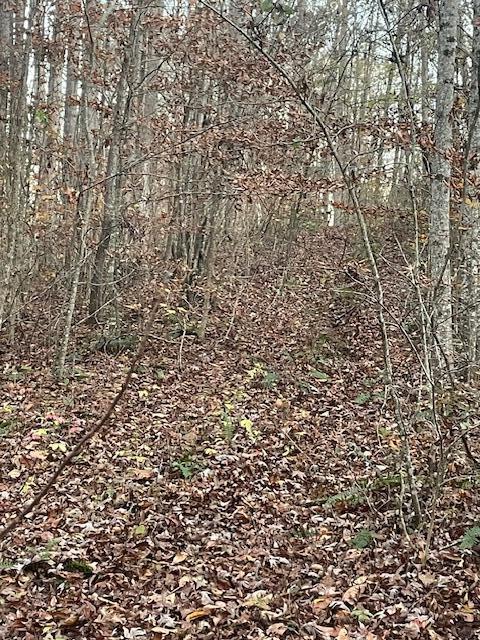 468 Horns Creek Road
