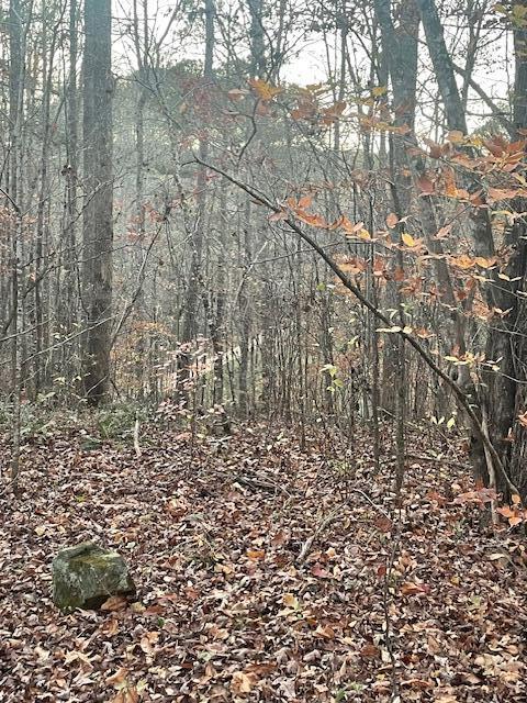 468 Horns Creek Road
