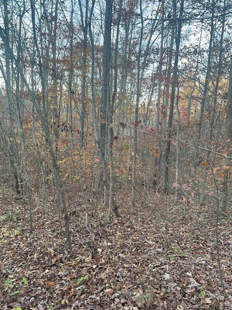 468 Horns Creek Road
