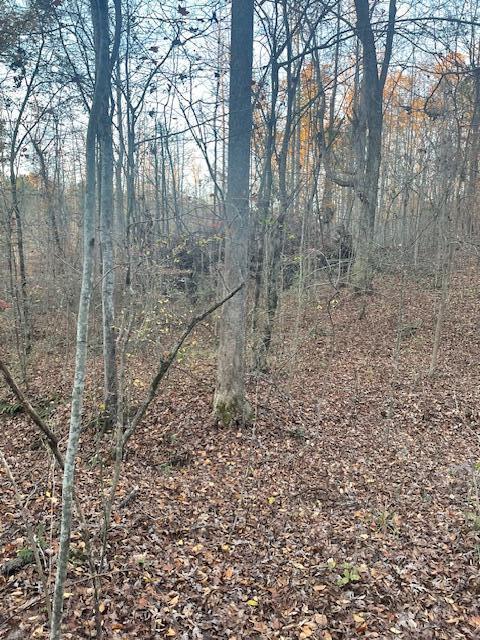 468 Horns Creek Road