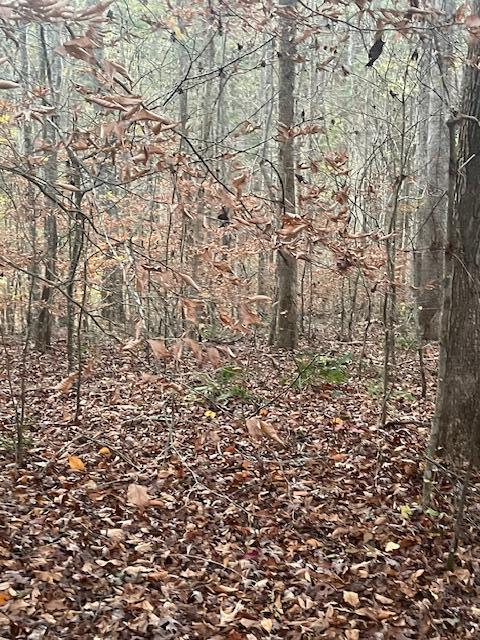 468 Horns Creek Road