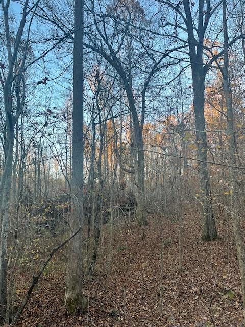 468 Horns Creek Road
