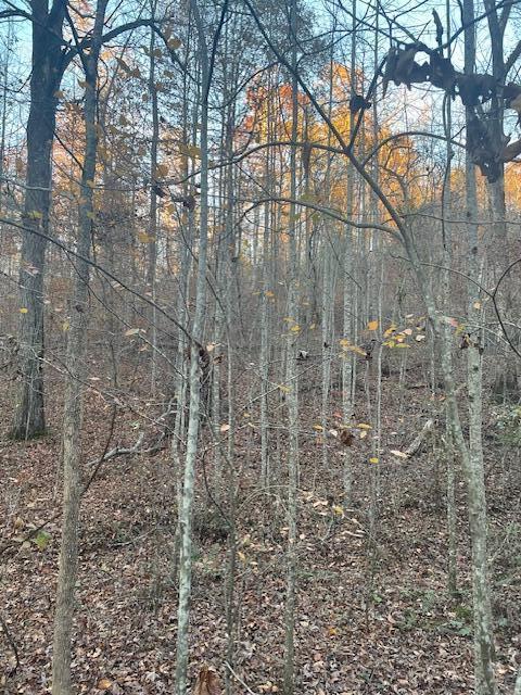 468 Horns Creek Road