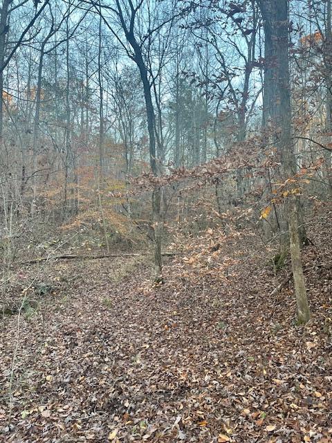 468 Horns Creek Road