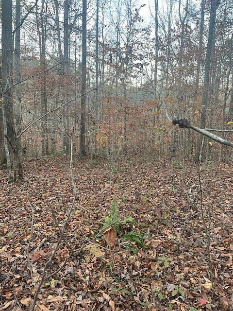 468 Horns Creek Road