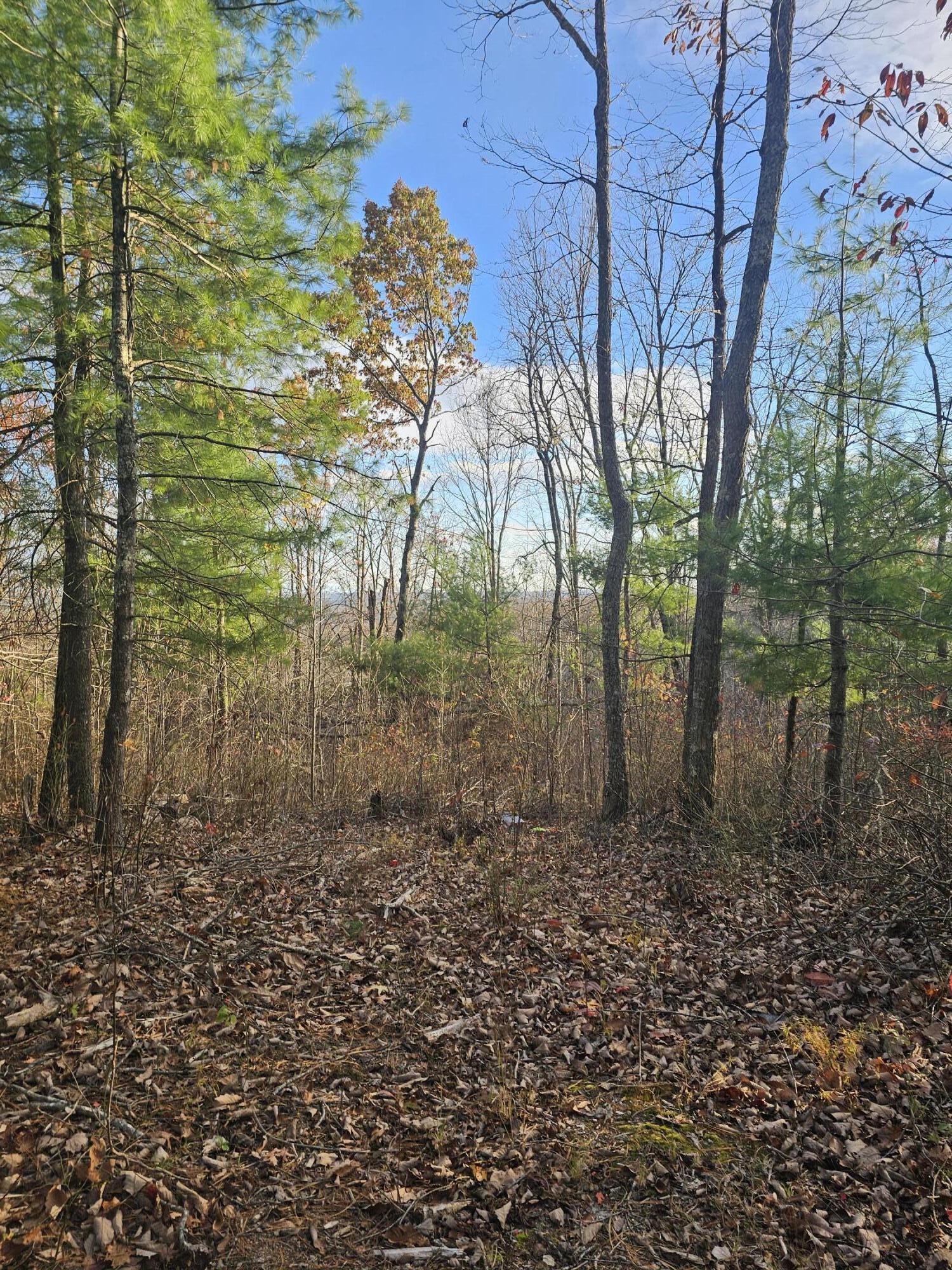 0 Overlook Trail