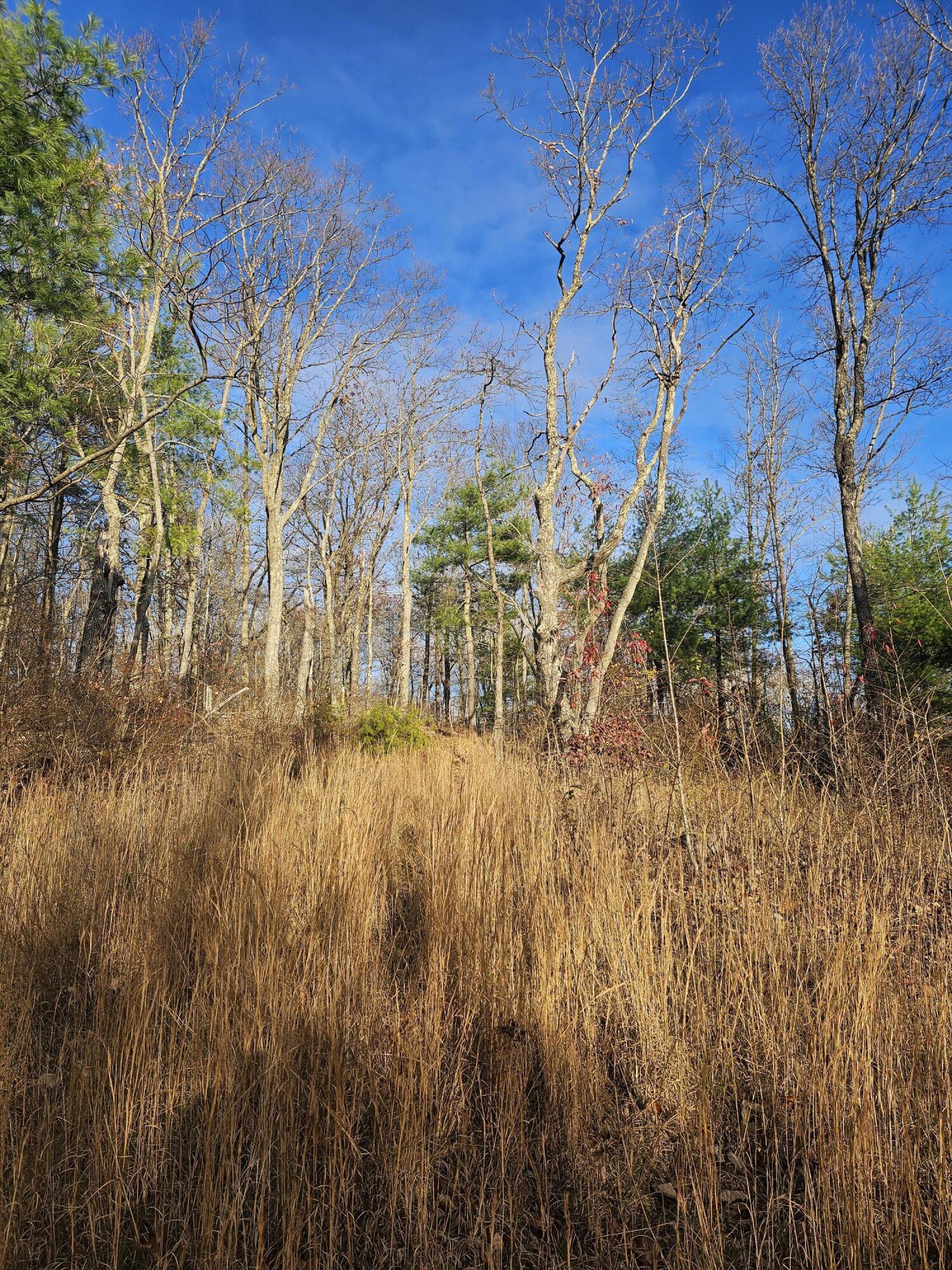 0 Overlook Trail