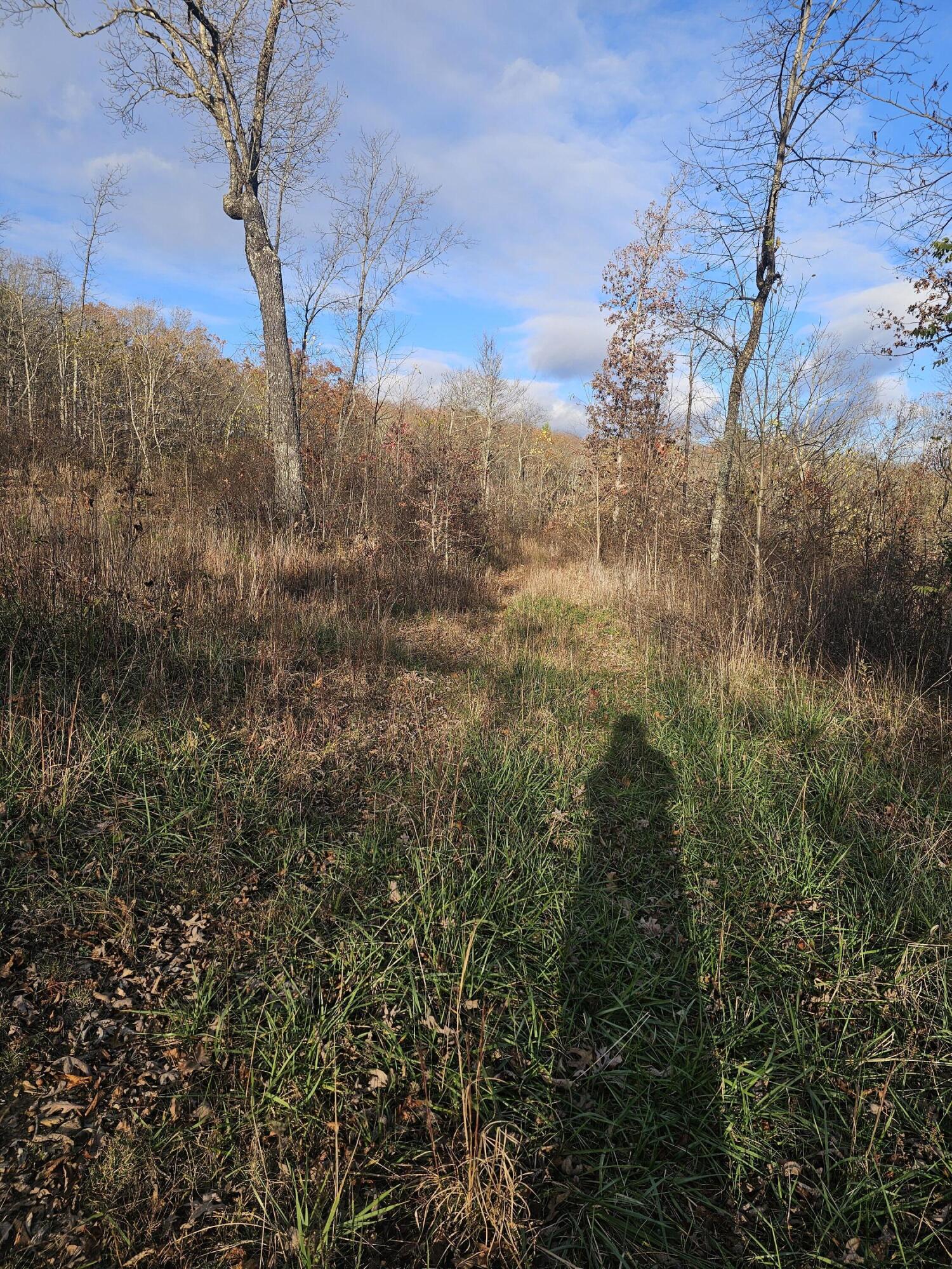 0 Overlook Trail
