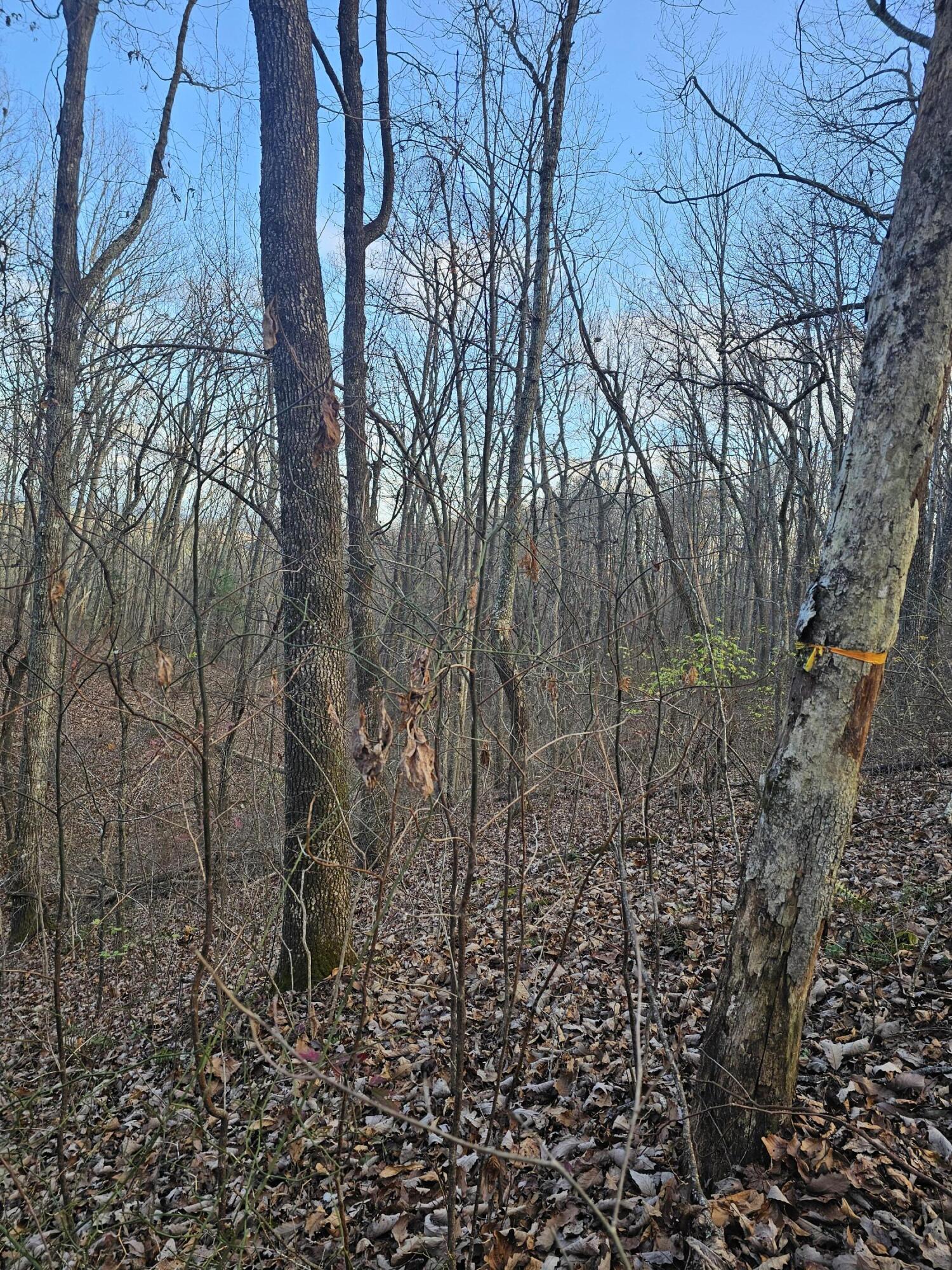 0 Overlook Trail