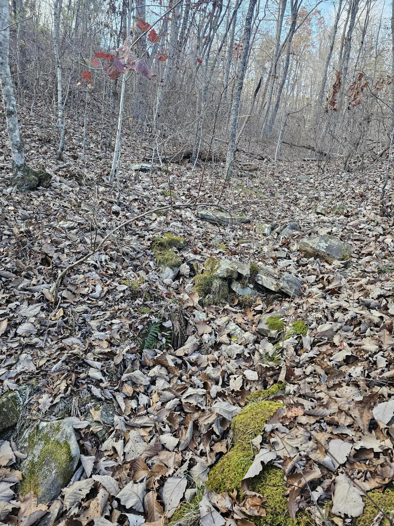 0 Overlook Trail