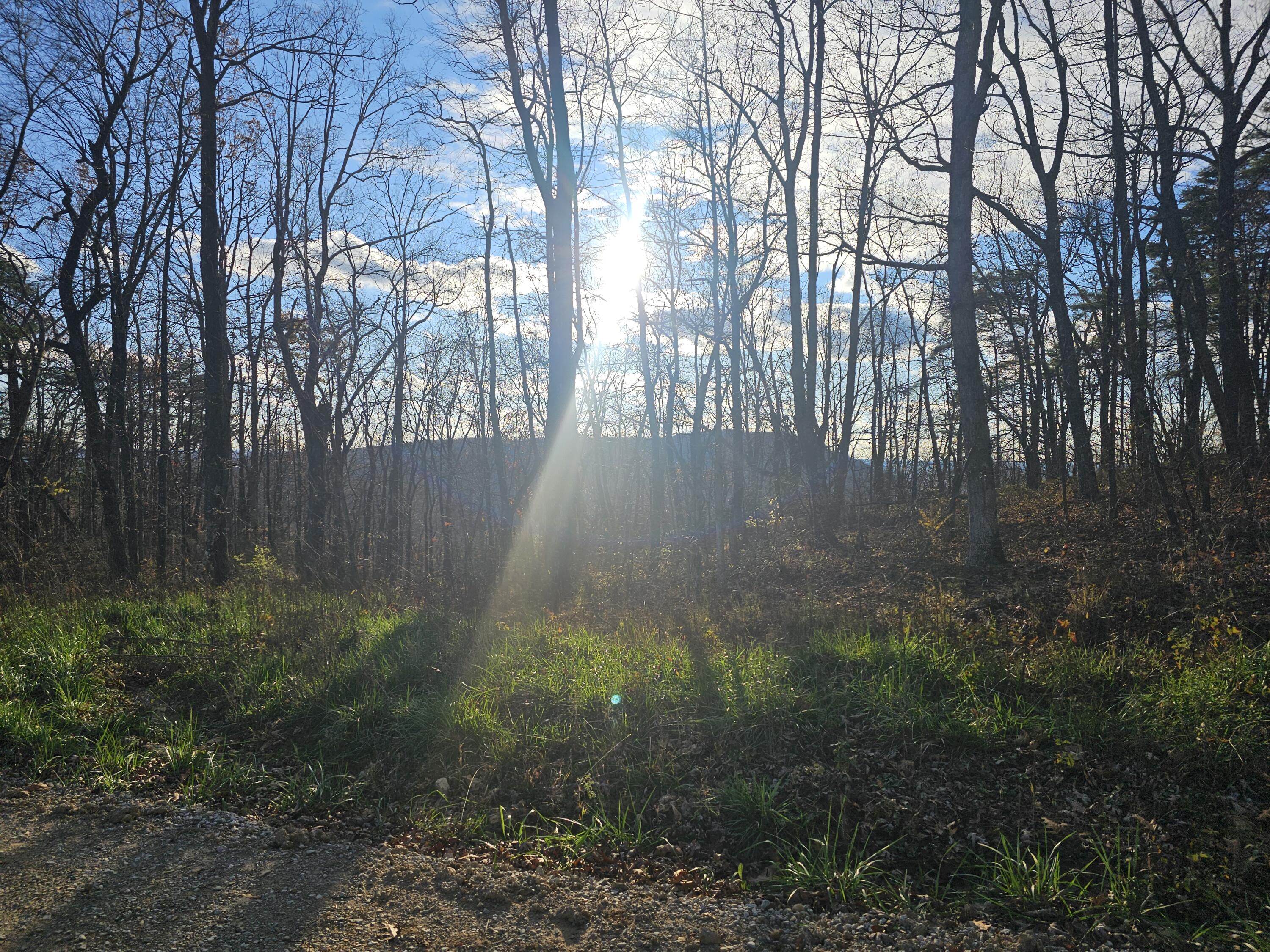 0 Overlook Trail