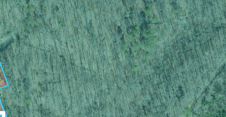 9735 Mountain Lake Dr. Drive