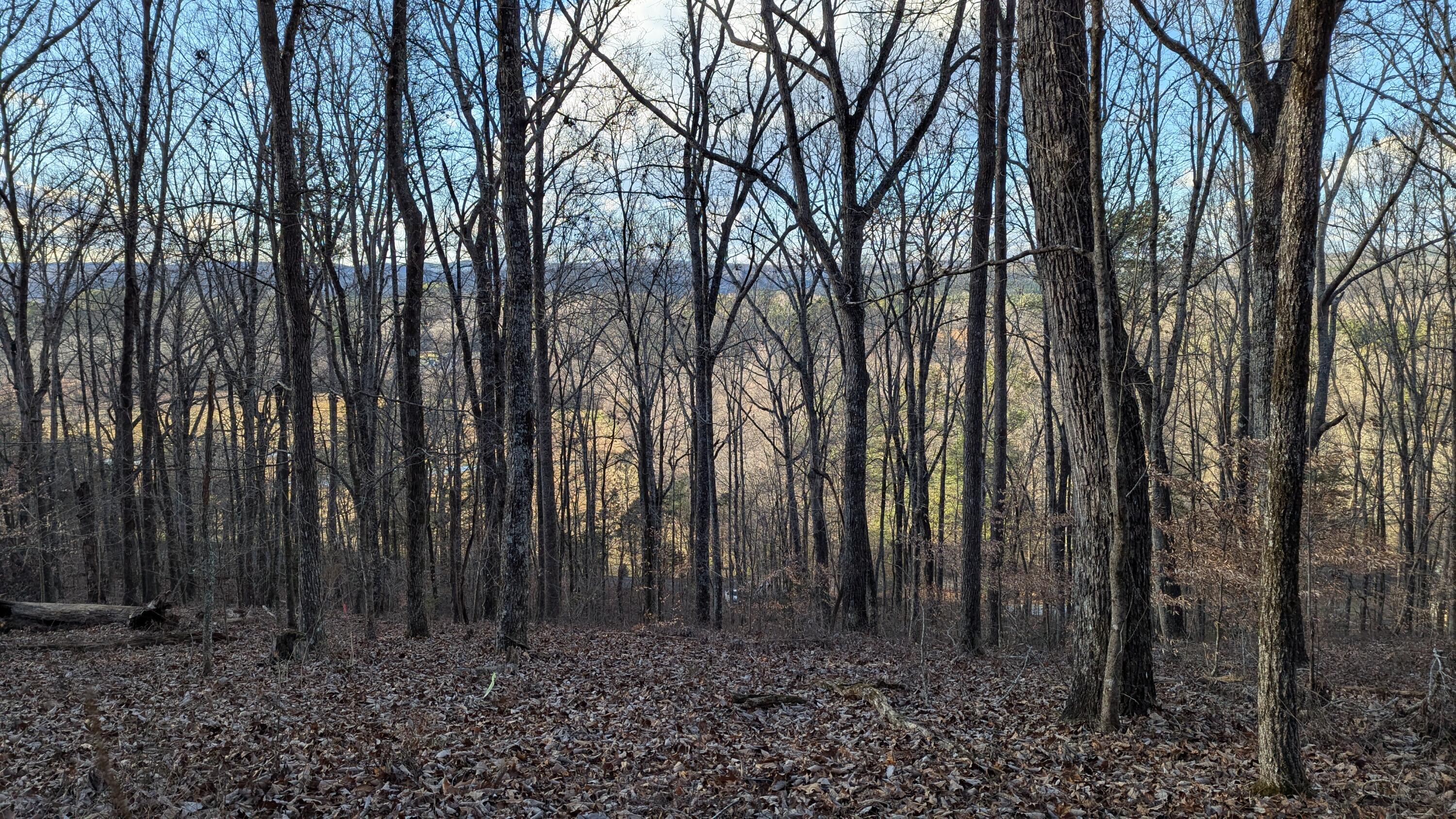 0 Candies Creek Ridge Road, Lot 1