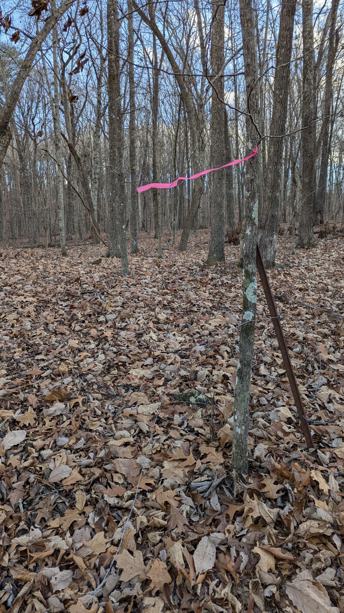 0 Candies Creek Ridge Road, Lot 1