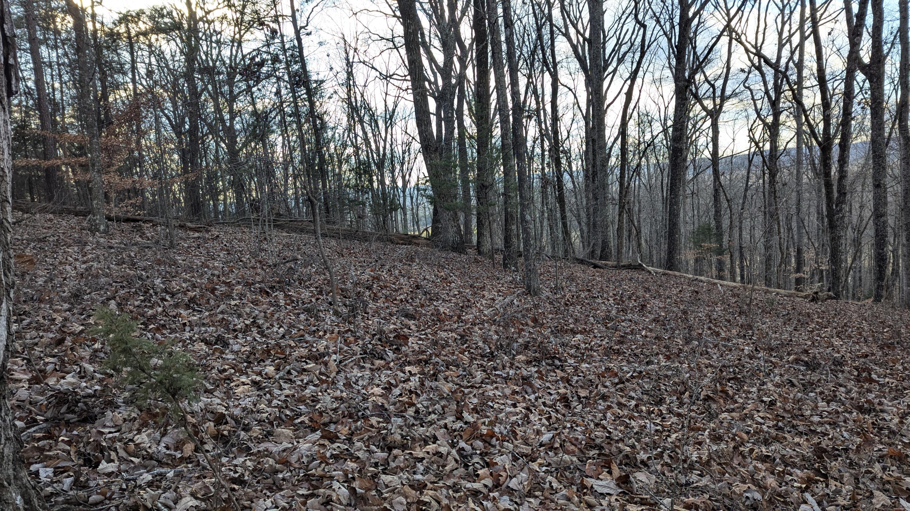 0 Candies Creek Ridge Road, Lot 1