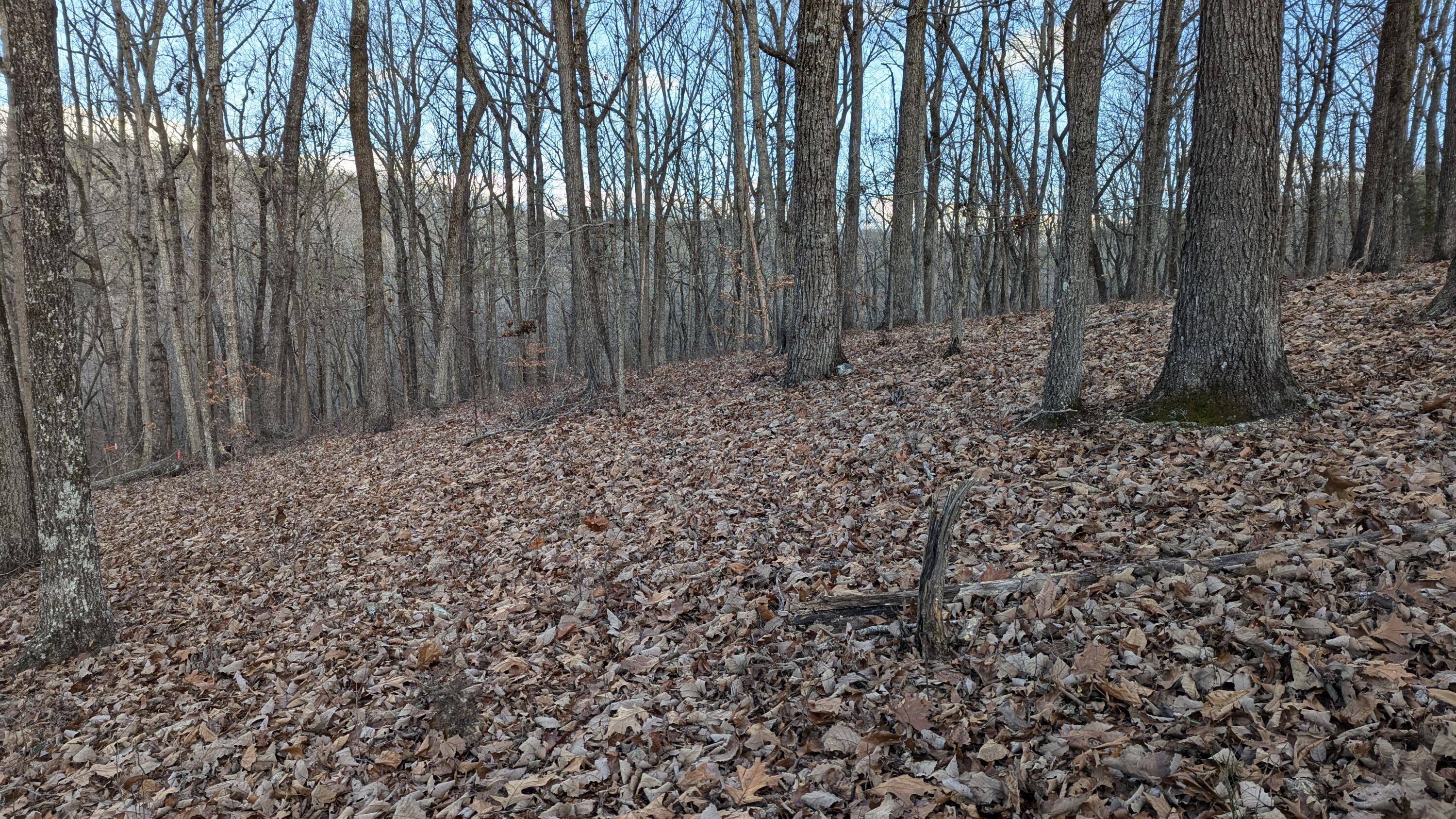 0 Candies Creek Ridge Road, Lot 1