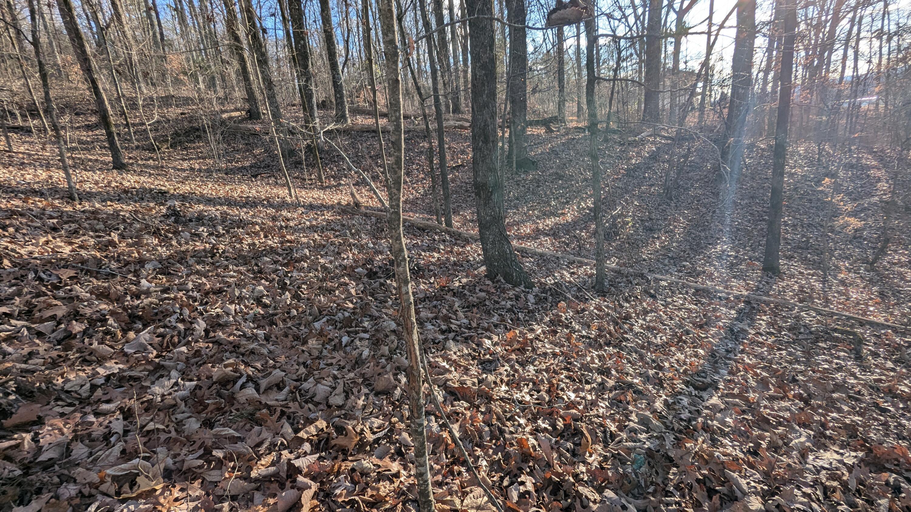 0 Candies Creek Ridge Road, Lot 1