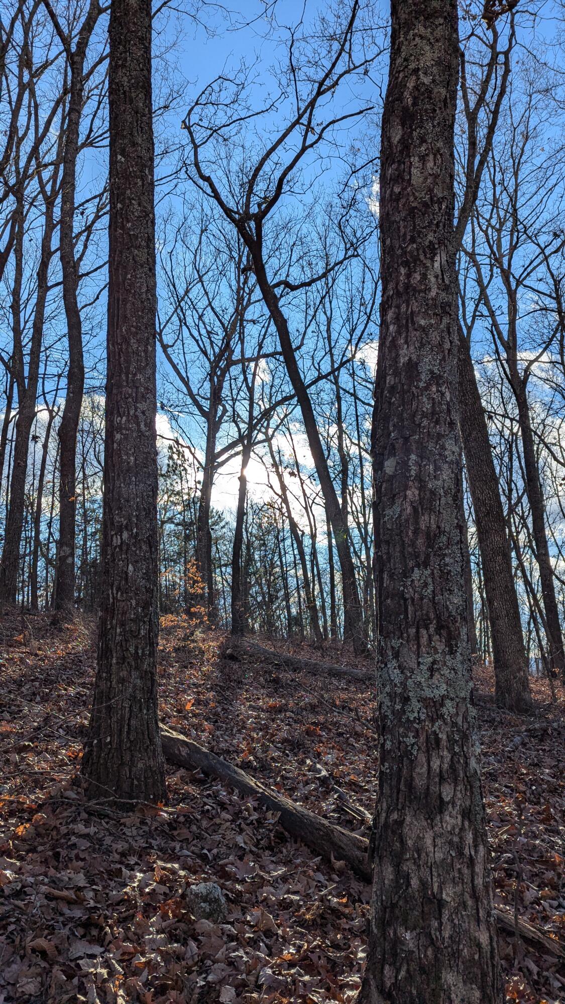 0 Candies Creek Ridge Road, Lot 1