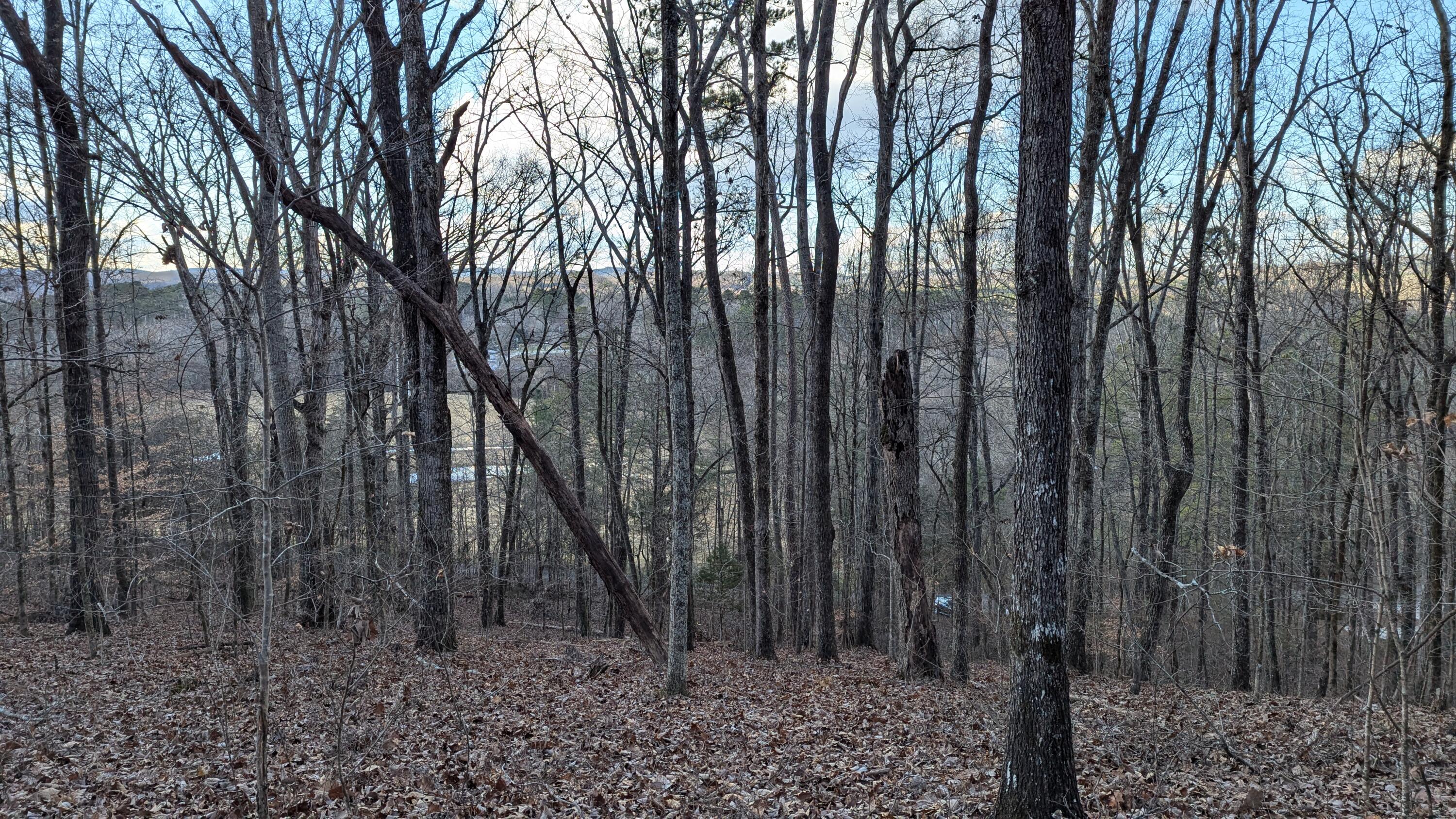 0 Candies Creek Ridge Road, Lot 1