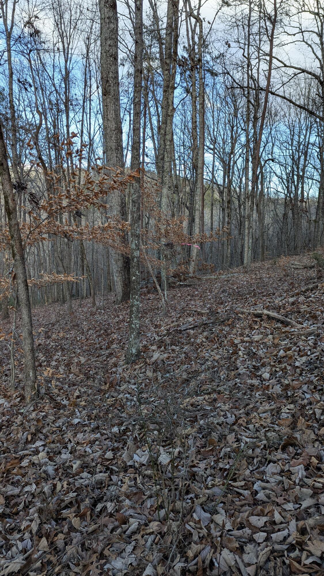 0 Candies Creek Ridge Road, Lot 1