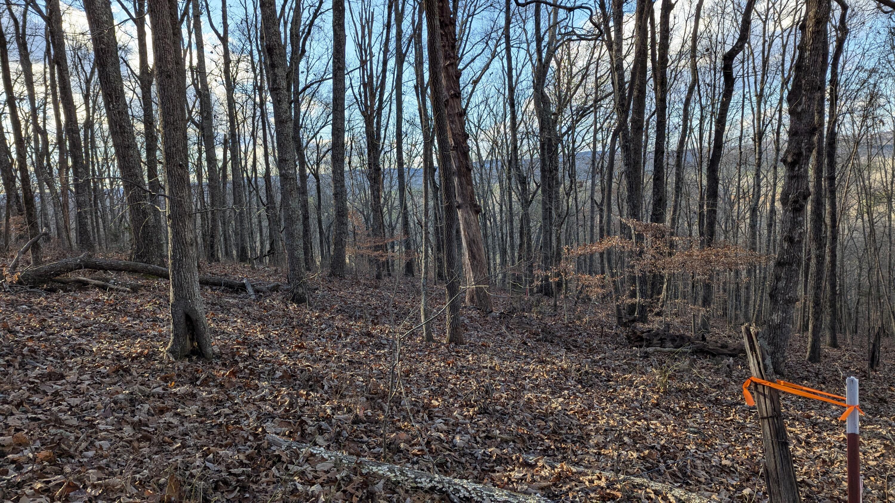 0 Candies Creek Ridge Road, Lot 1