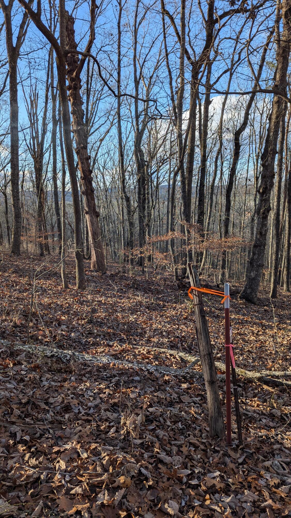 0 Candies Creek Ridge Road, Lot 1