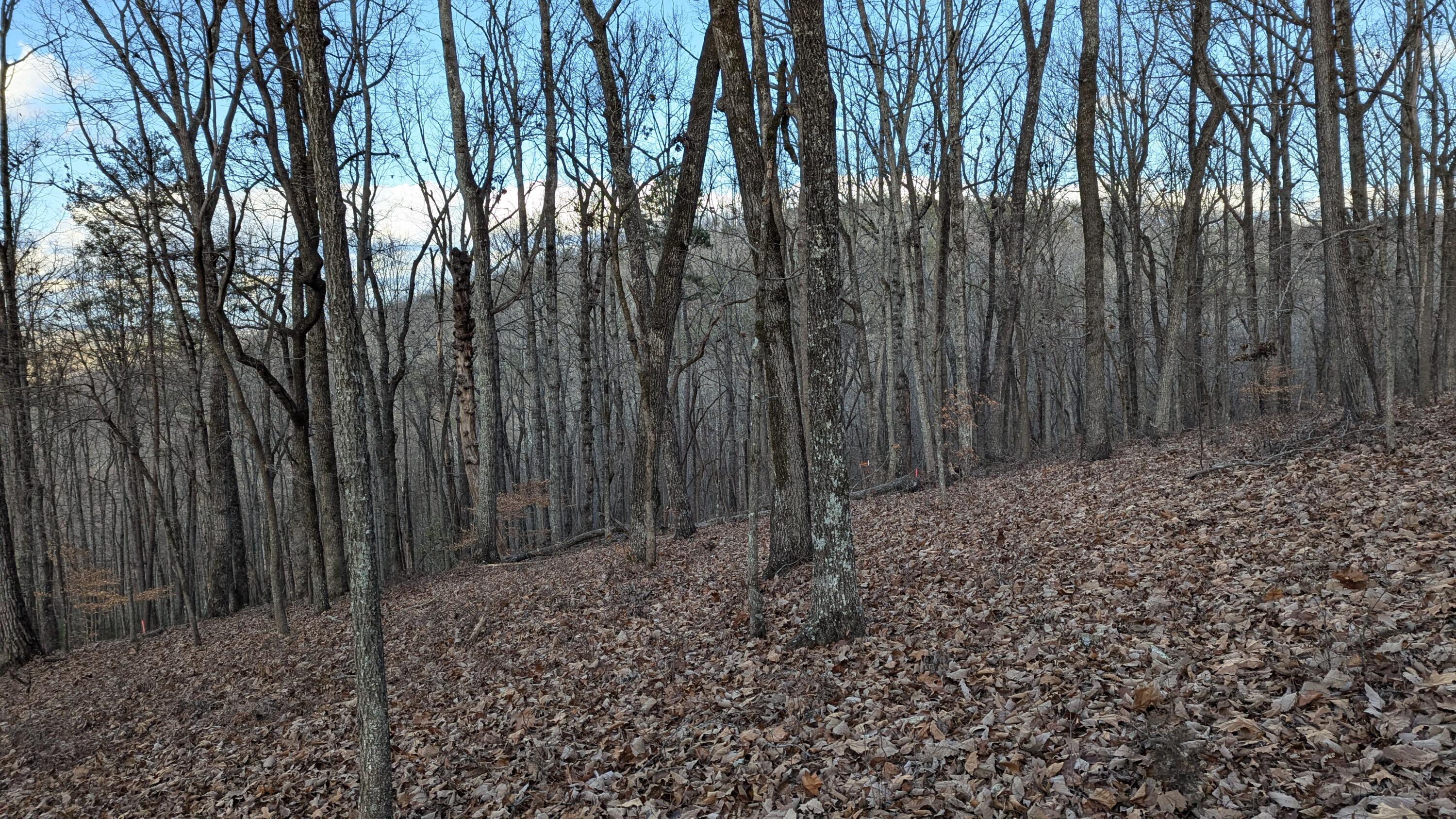 0 Candies Creek Ridge Road, Lot 1
