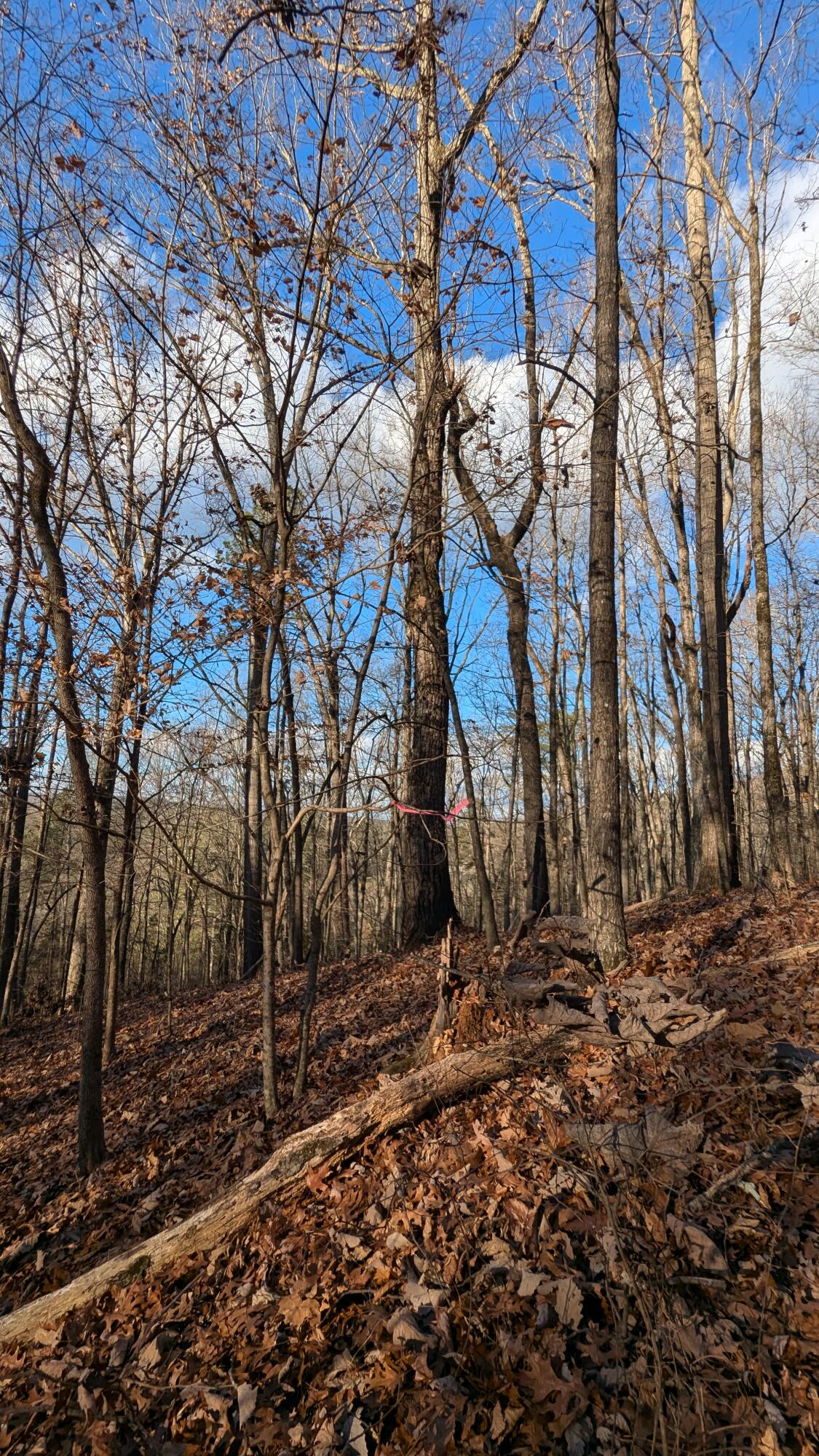 0 Candies Creek Ridge Road, Lot 1