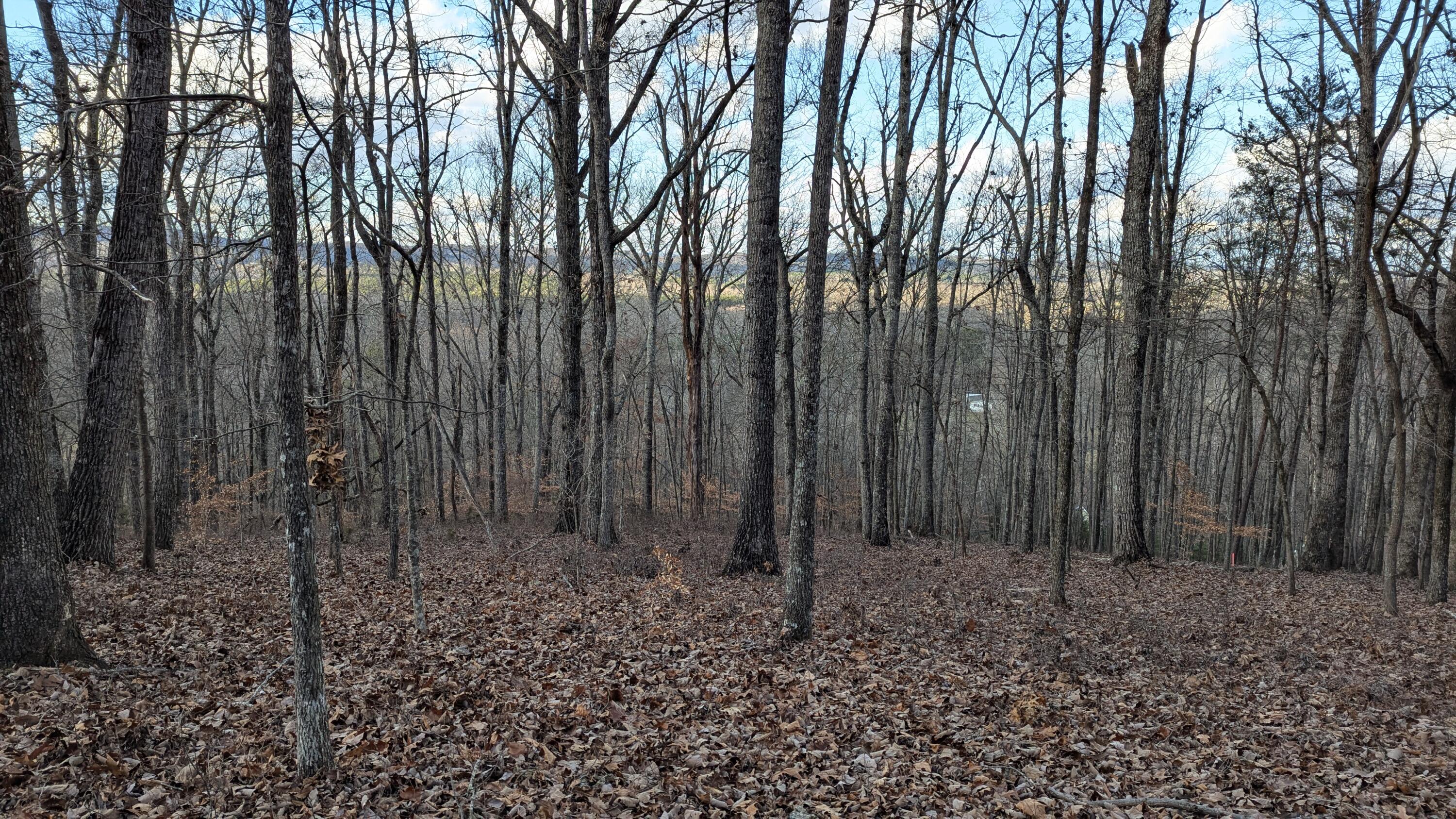 0 Candies Creek Ridge Road, Lot 1