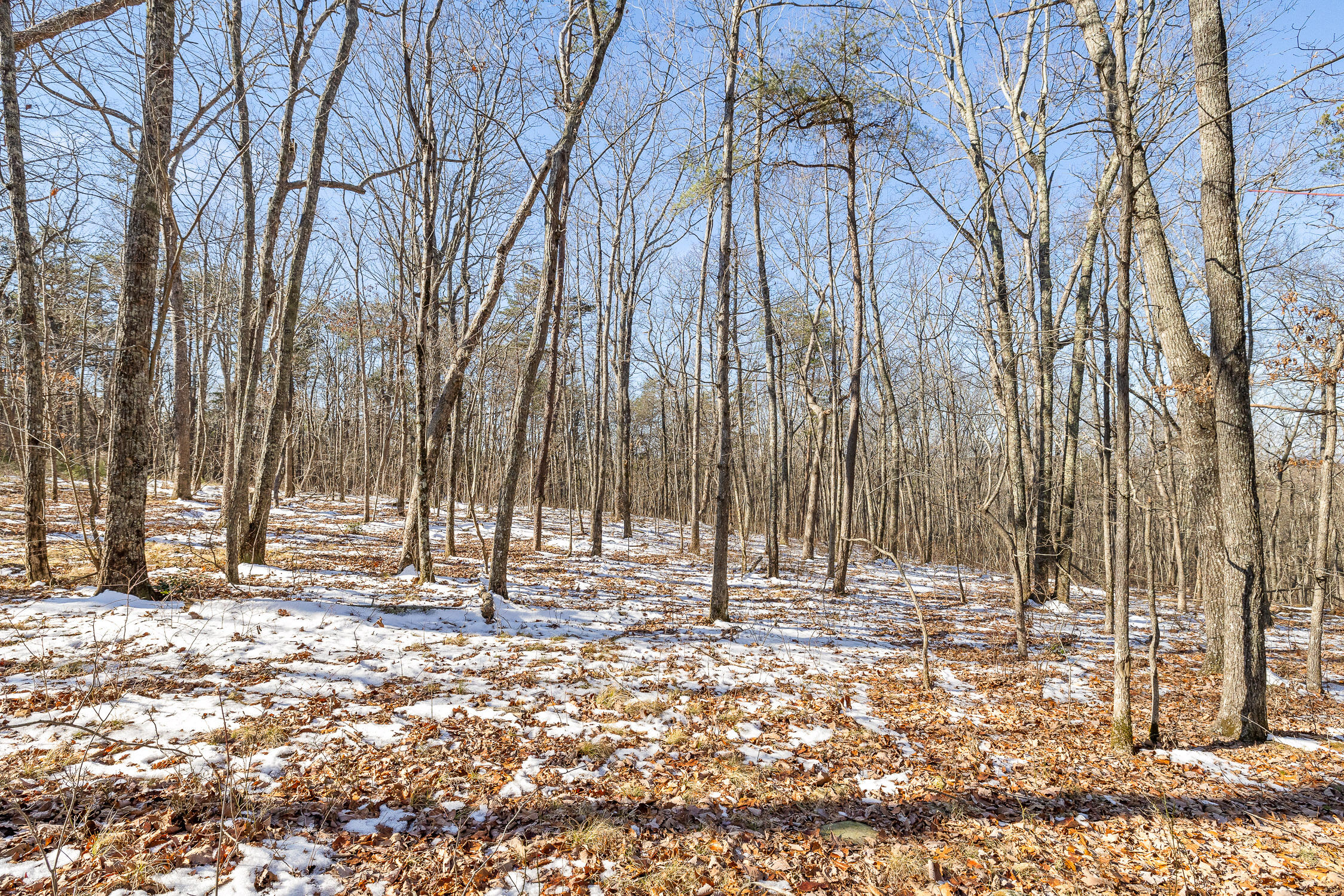 0 Highland Forest Circle, Lot 9