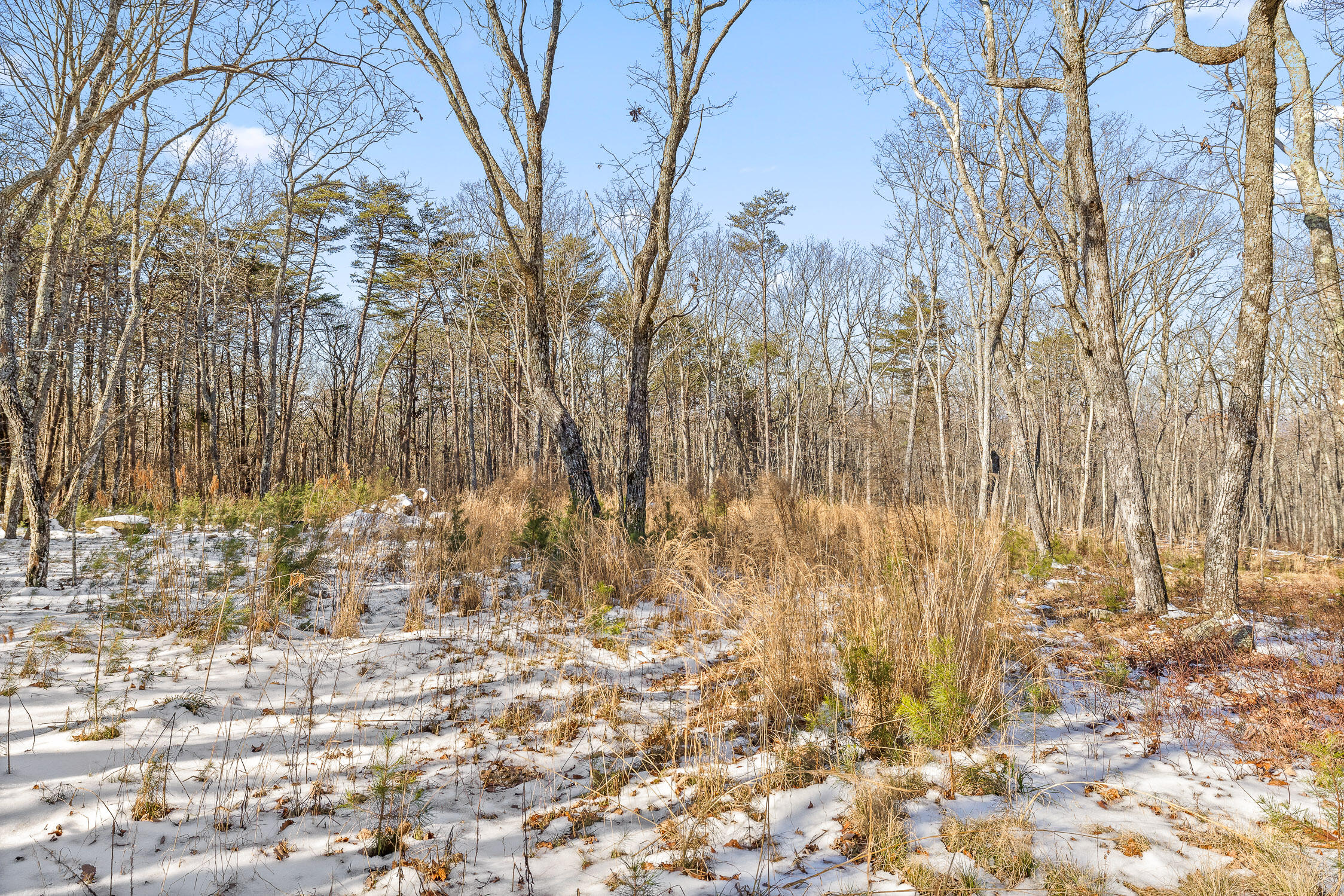 0 Highland Forest Circle, Lot 9