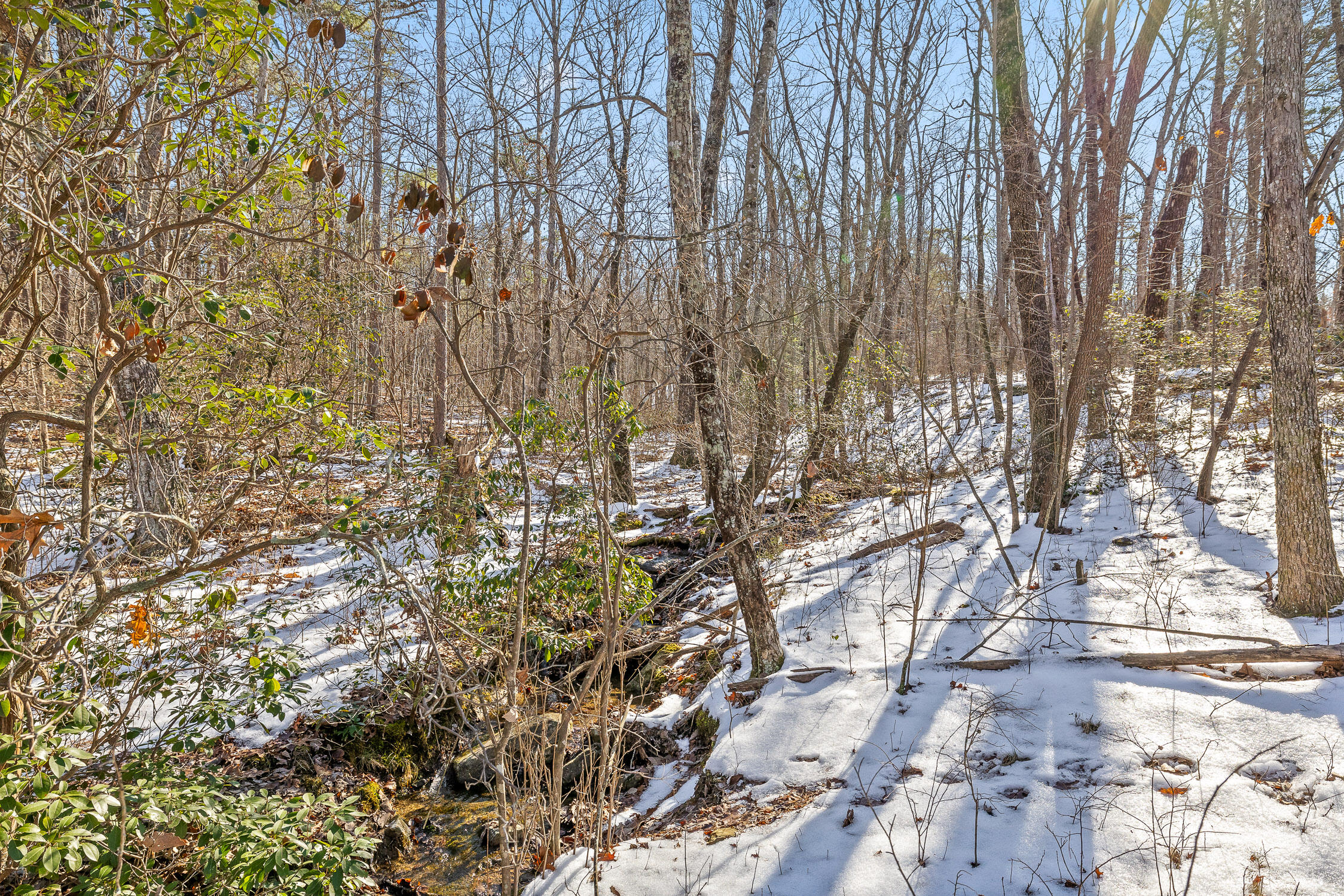 0 Highland Forest Circle, Lot 9