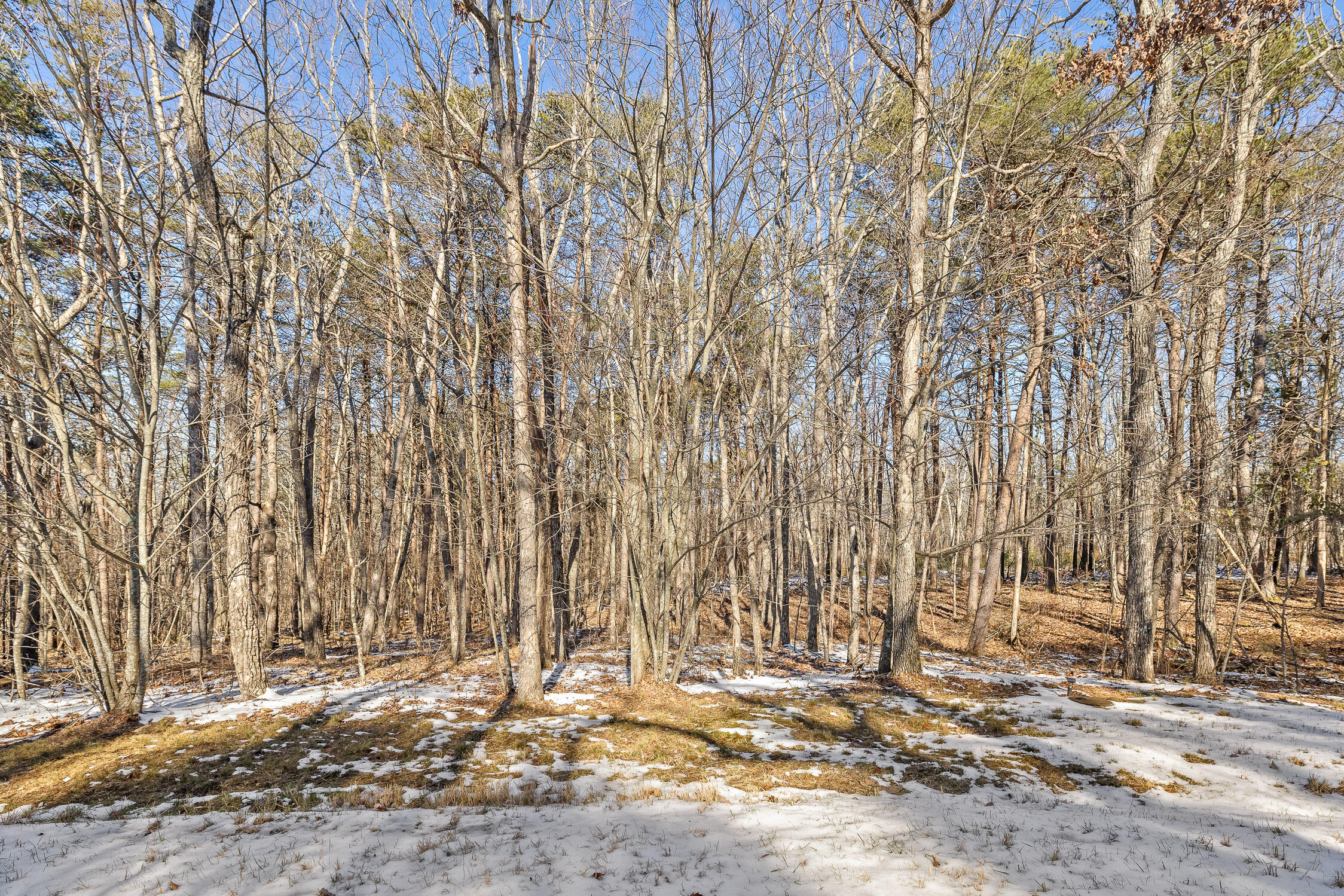 0 Highland Forest Circle, Lot 9
