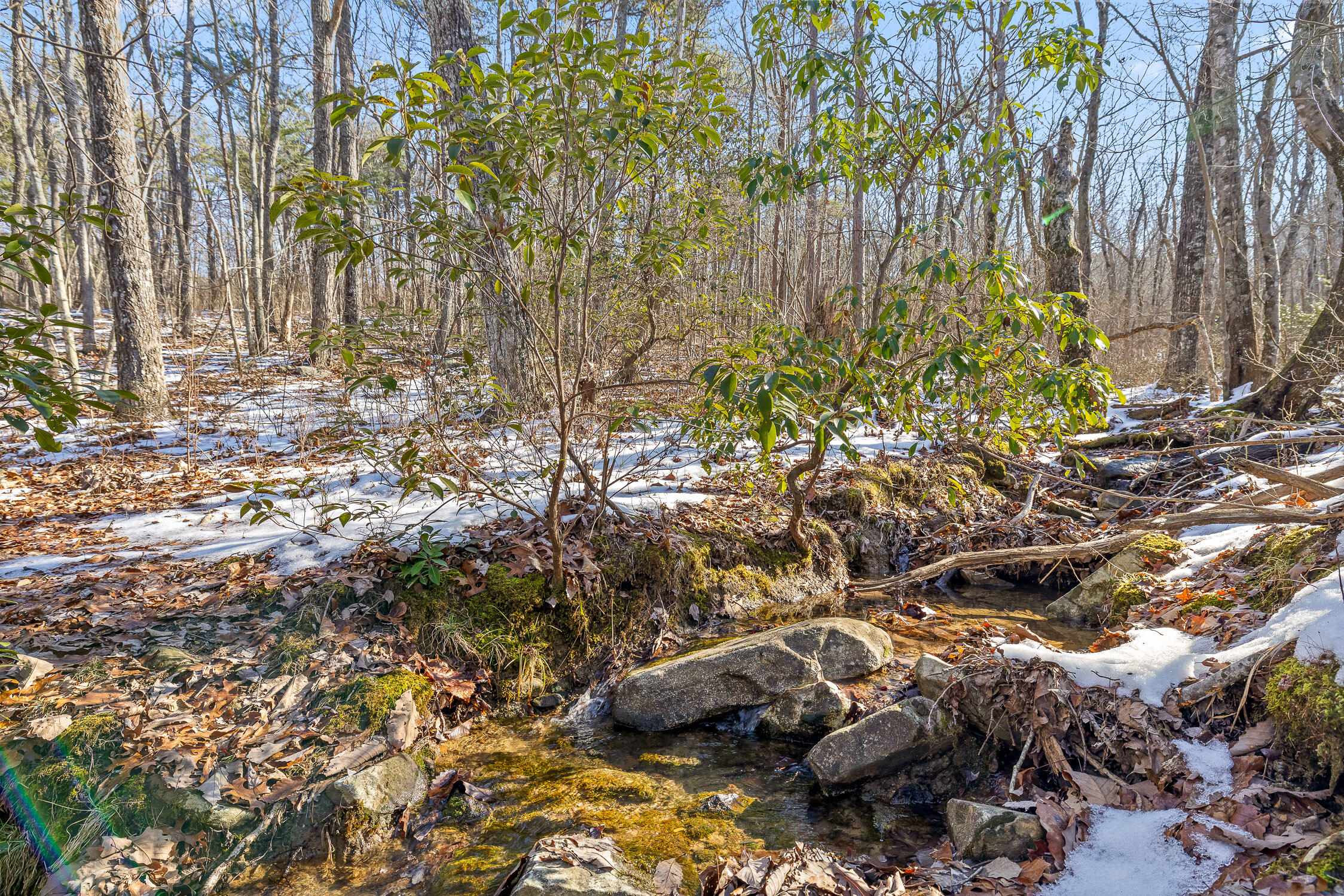 0 Highland Forest Circle, Lot 9