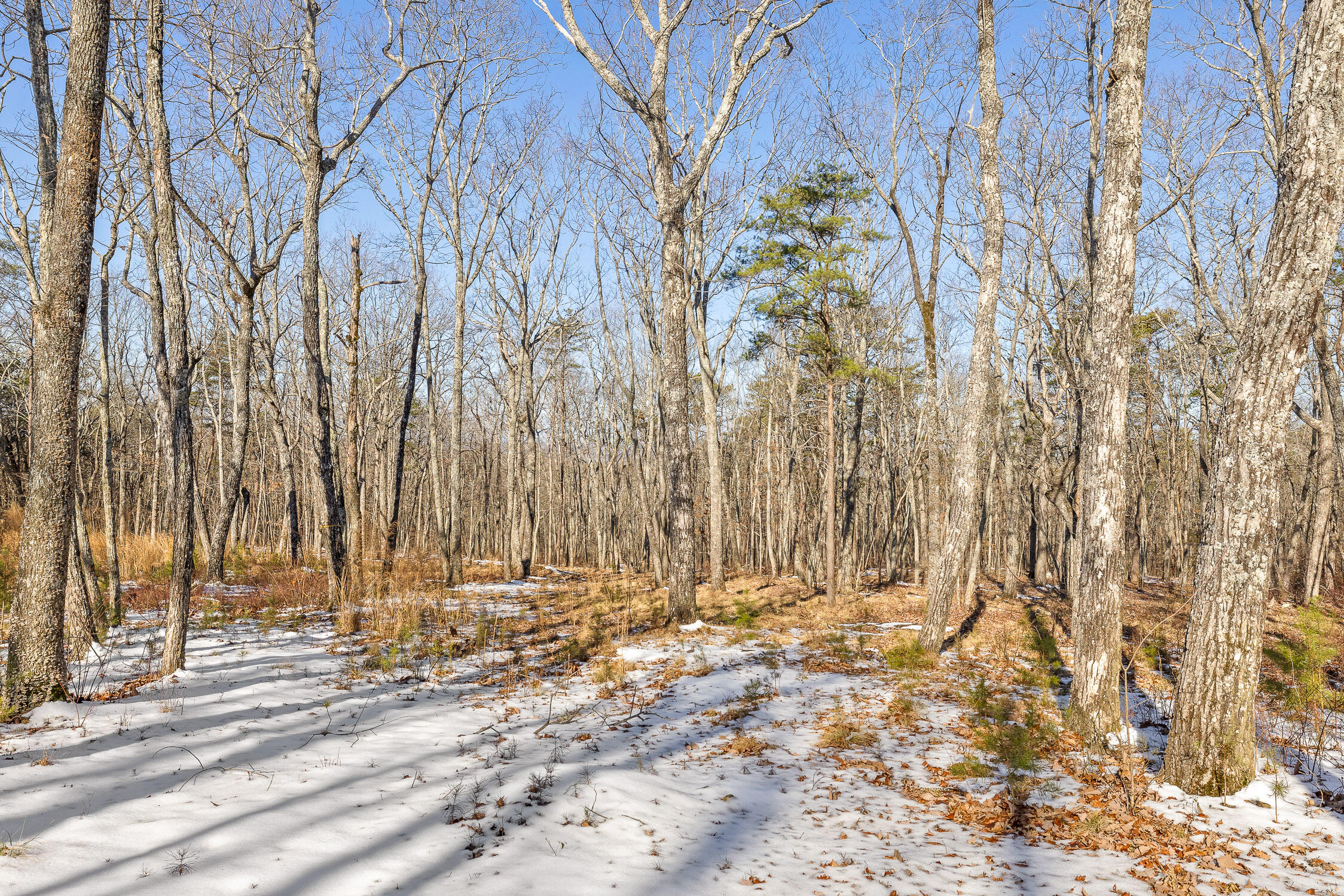 0 Highland Forest Circle, Lot 9
