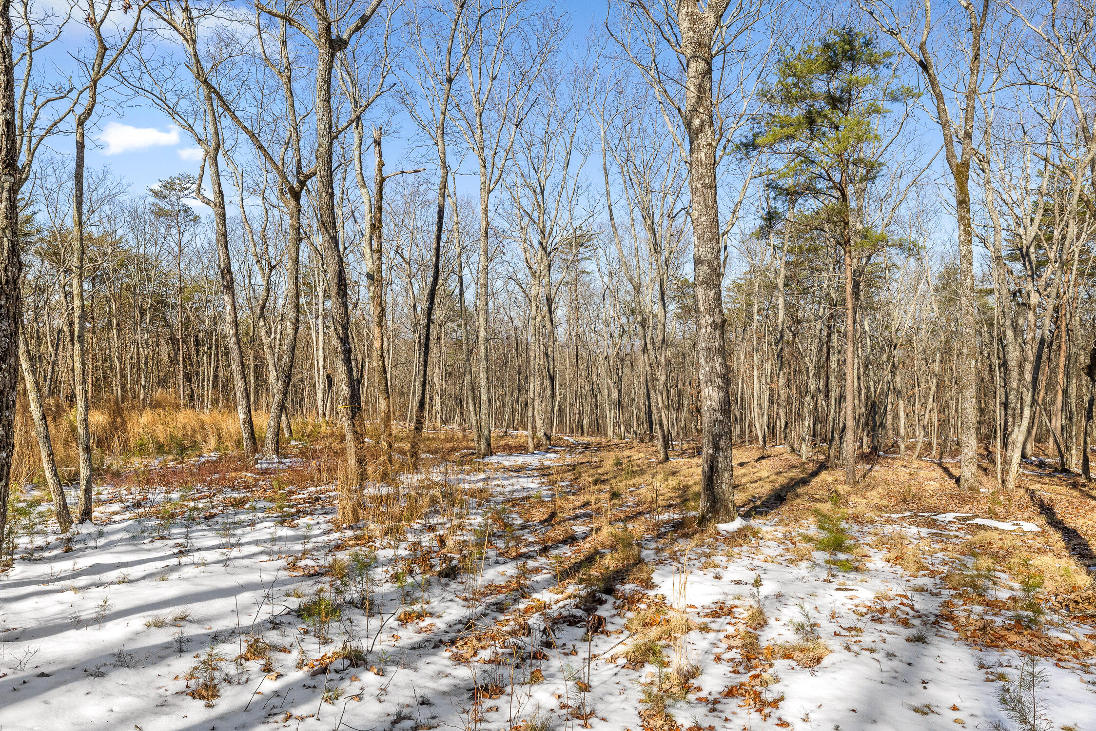 0 Highland Forest Circle, Lot 9