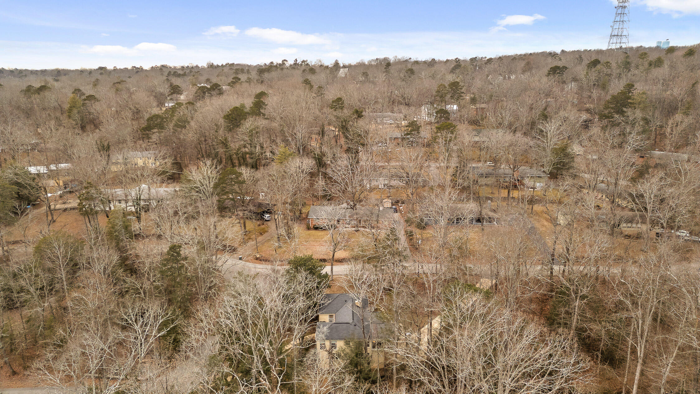 1036 Druid Drive