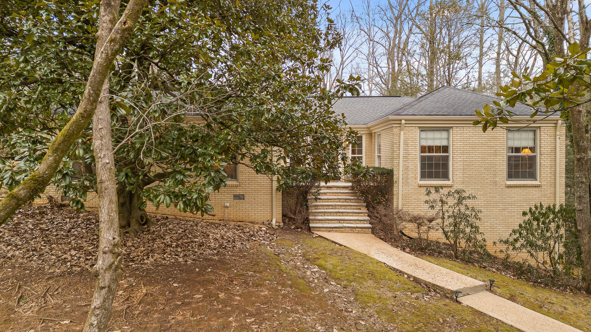 1036 Druid Drive