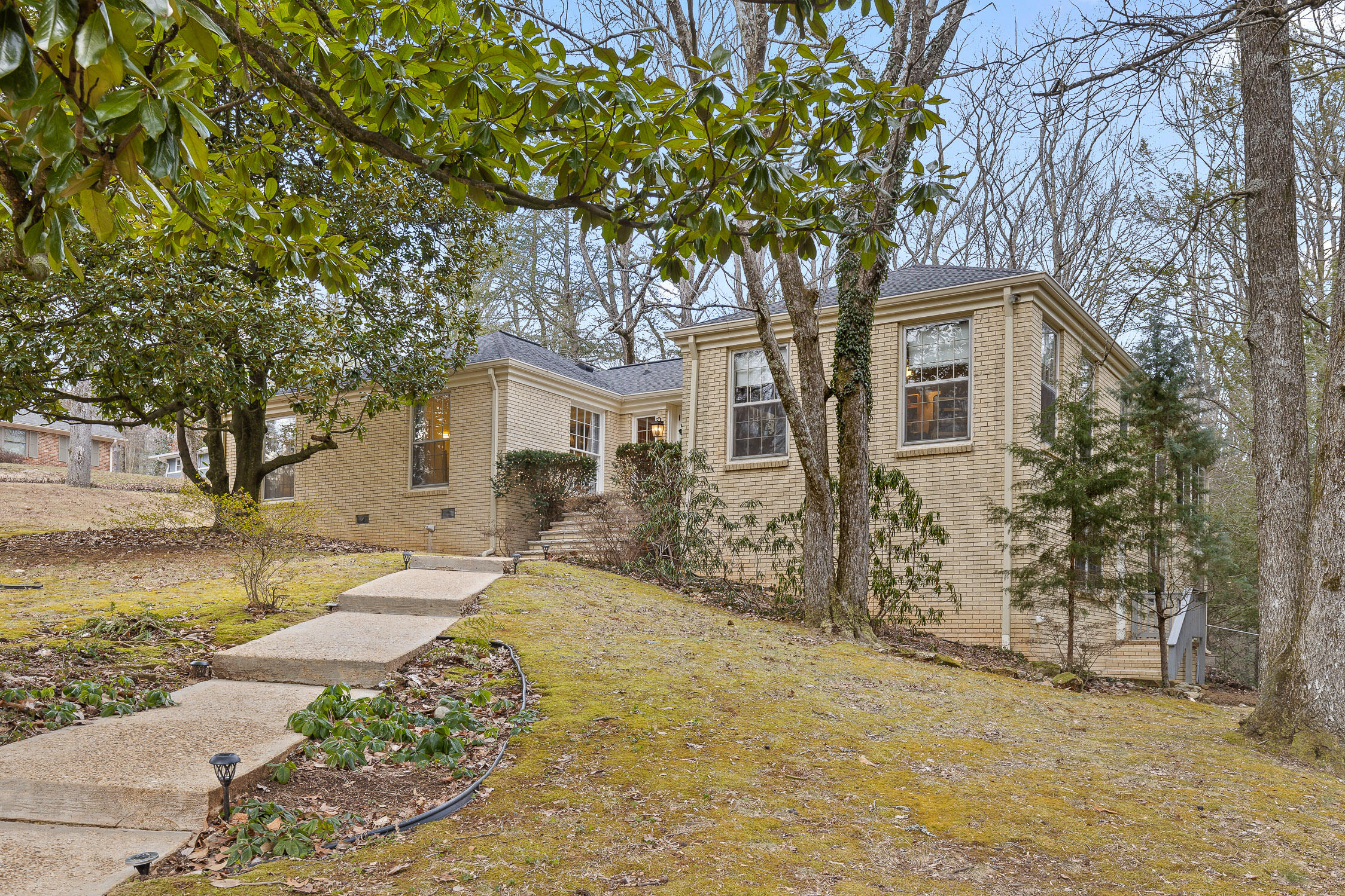 1036 Druid Drive