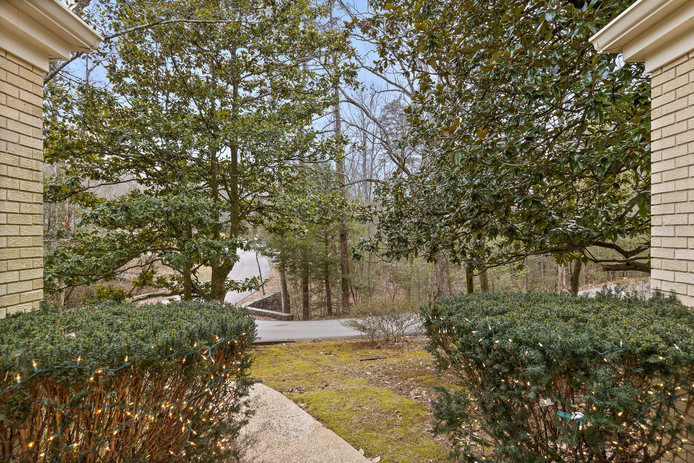 1036 Druid Drive