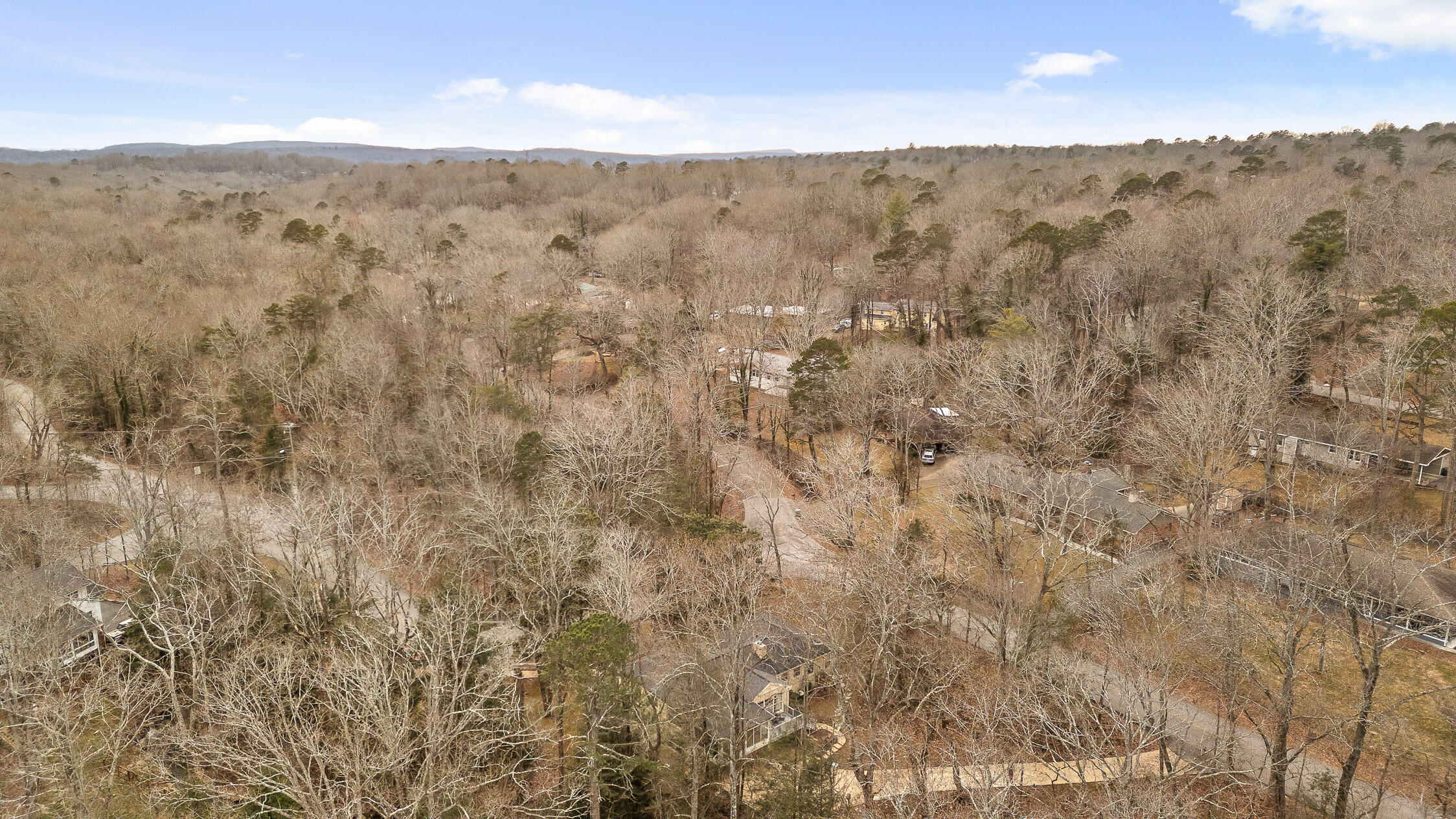 1036 Druid Drive