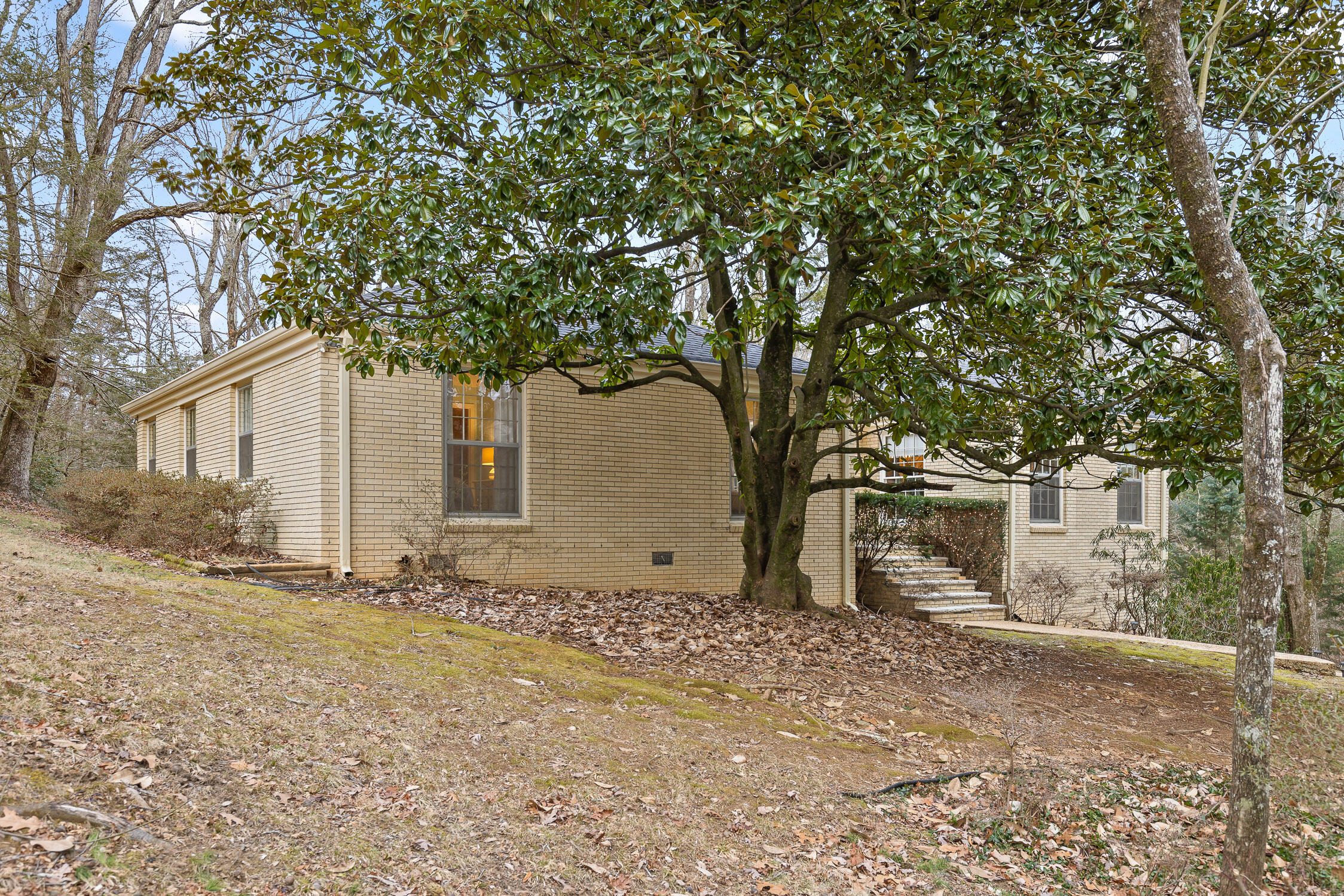 1036 Druid Drive