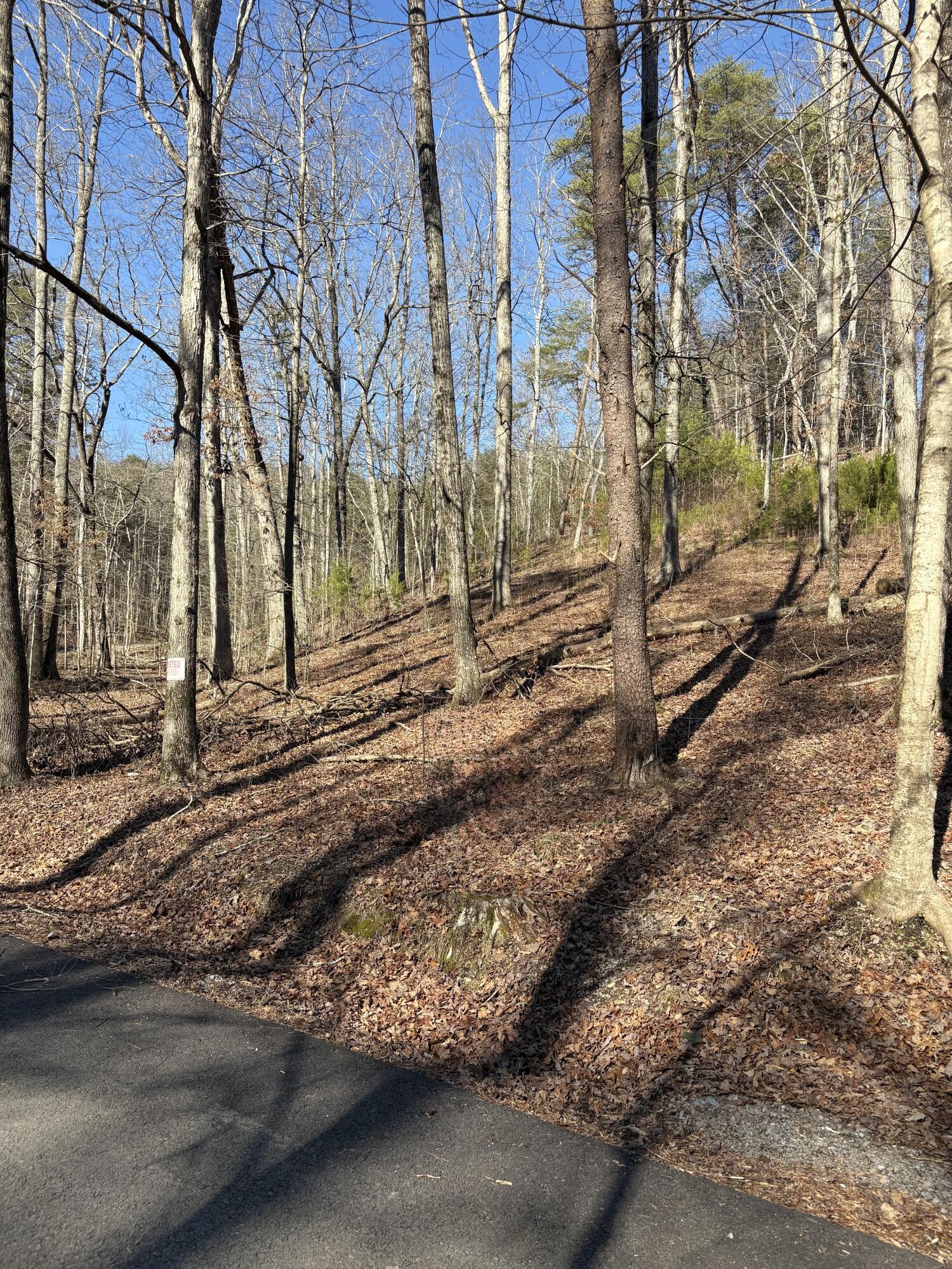 0 Fire Tower Rd Road