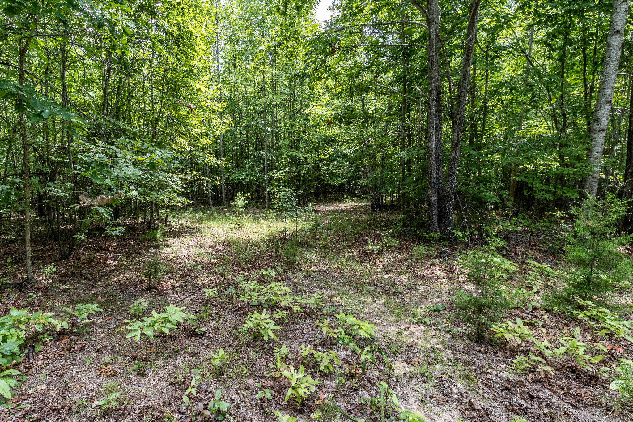 1130 Old Harris Turnpike Road