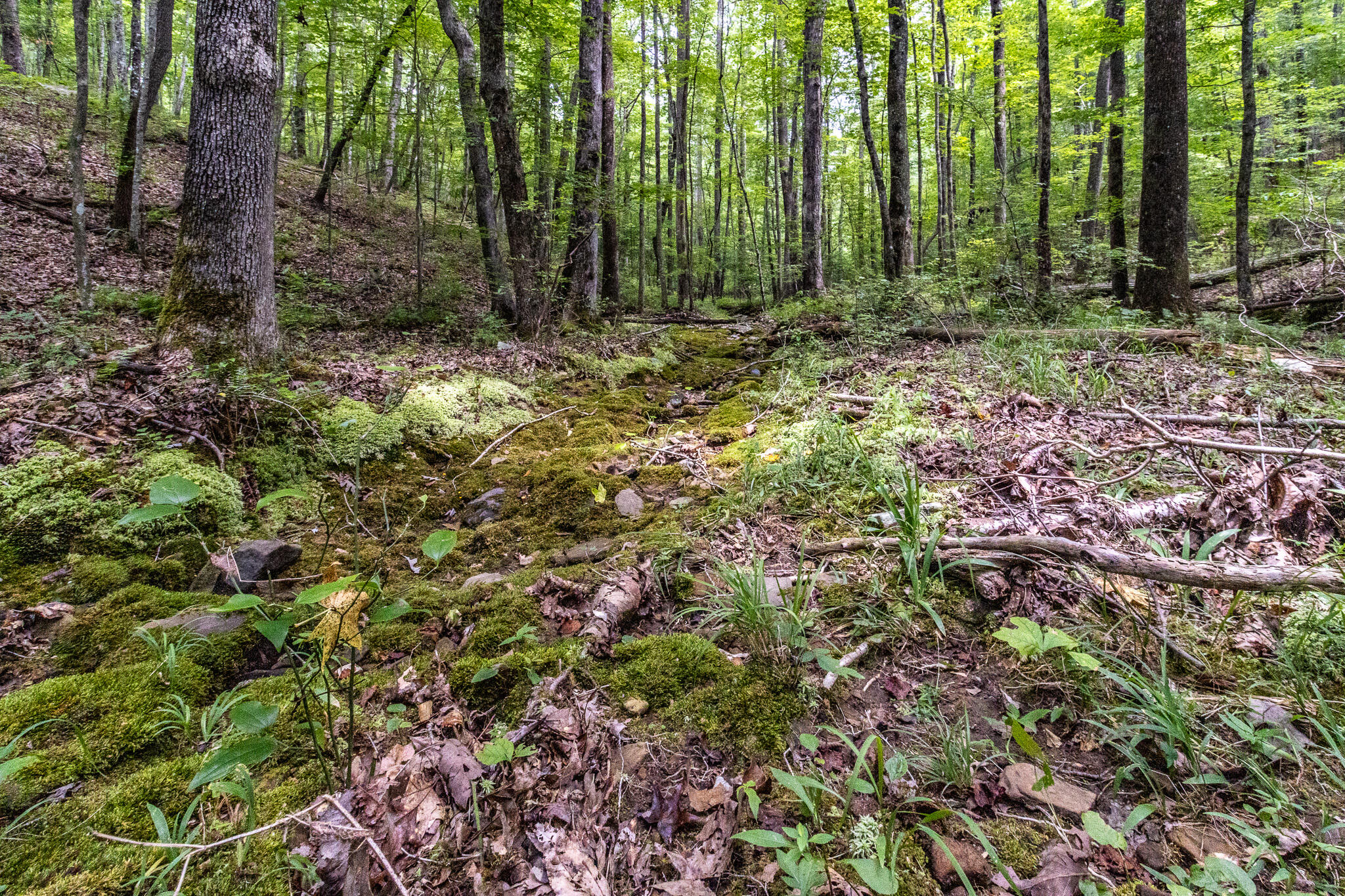 1130 Old Harris Turnpike Road