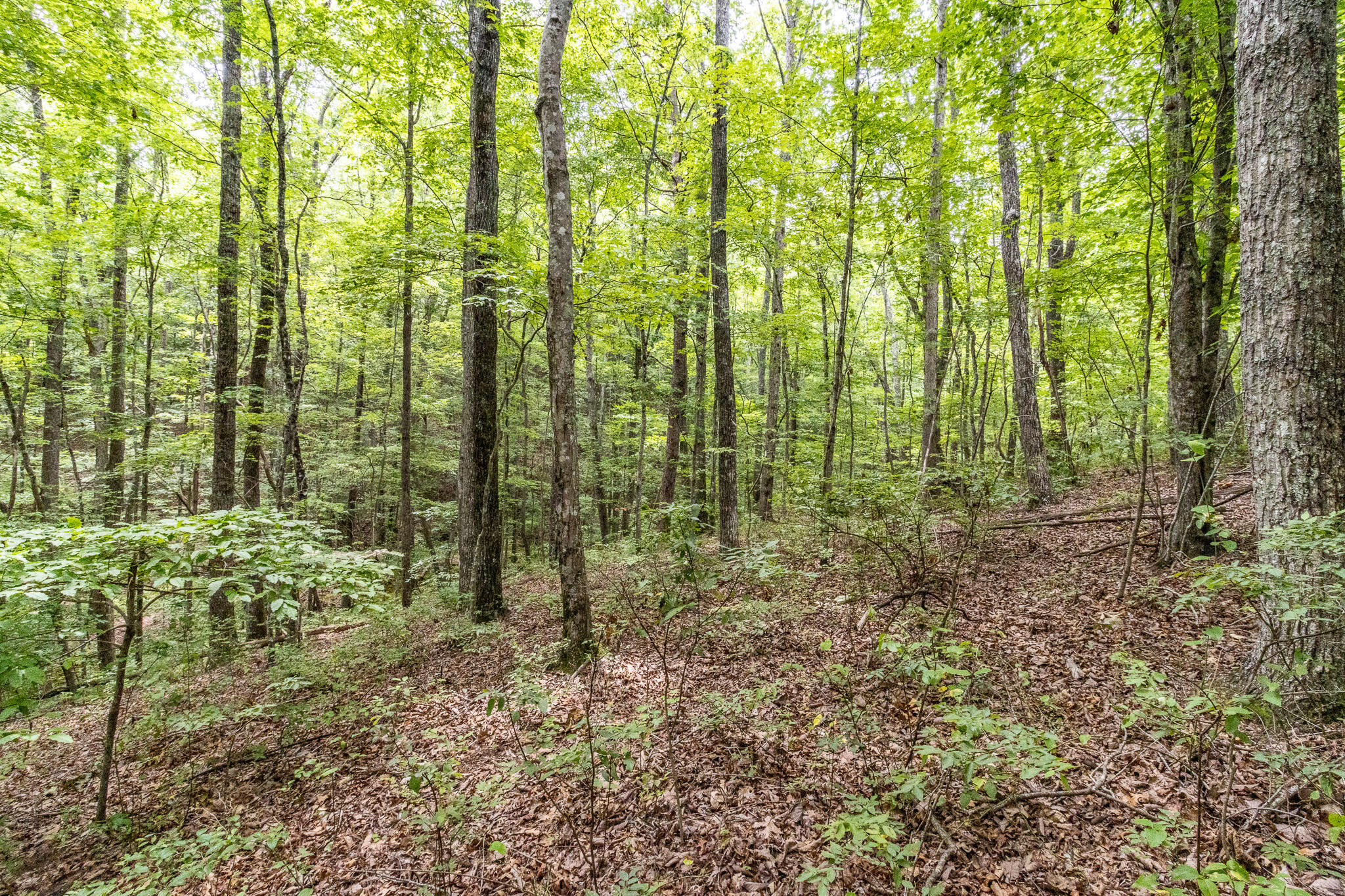 1130 Old Harris Turnpike Road