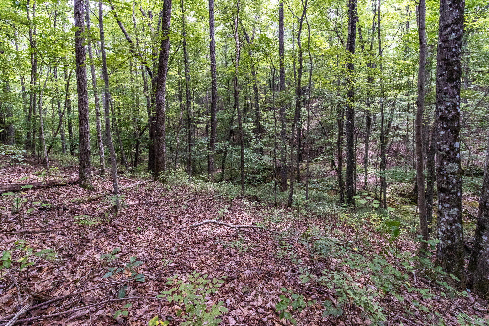 1130 Old Harris Turnpike Road