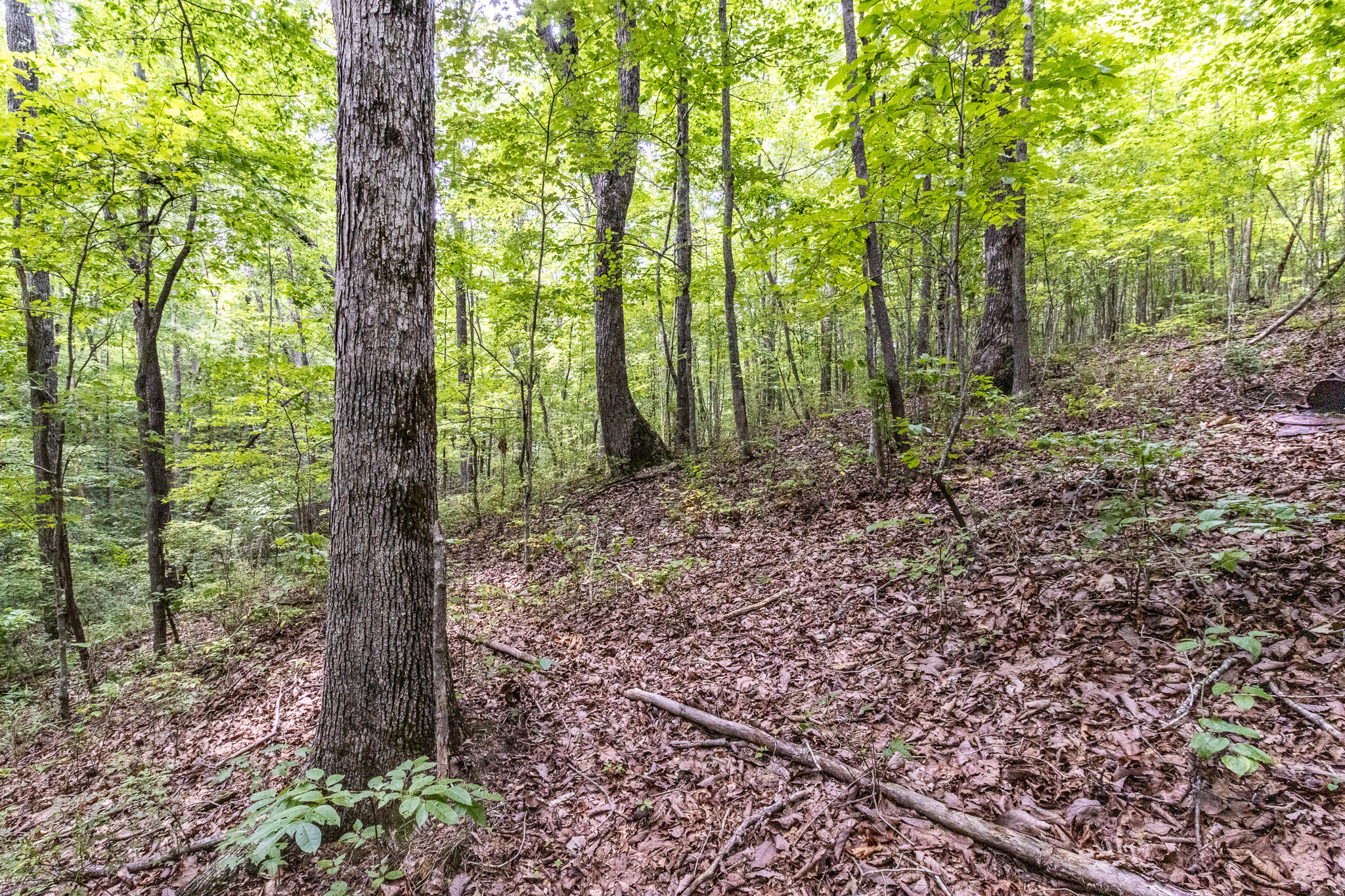 1130 Old Harris Turnpike Road