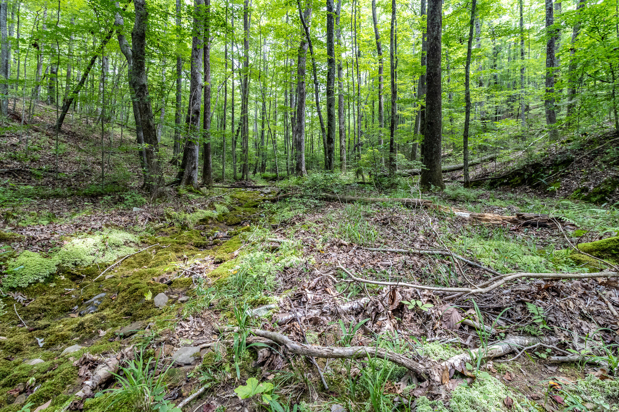 1130 Old Harris Turnpike Road