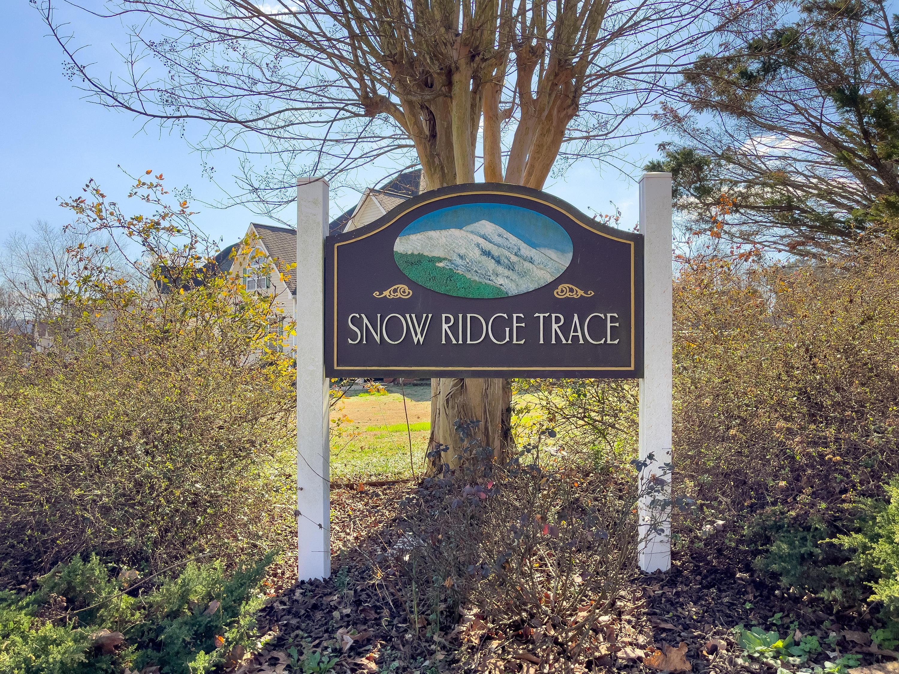 8589 Snow Ridge Drive